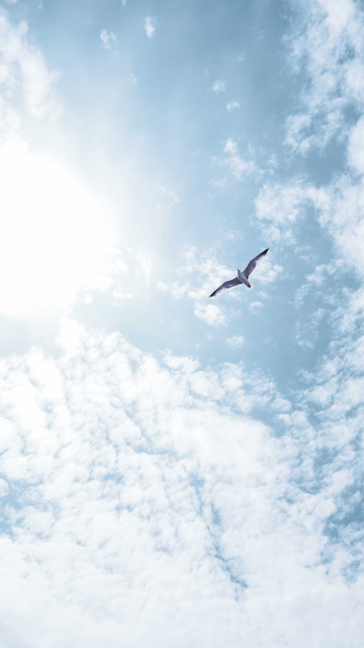A lone seagull soars through a bright blue sky filled with wispy white clouds on a sunny day.