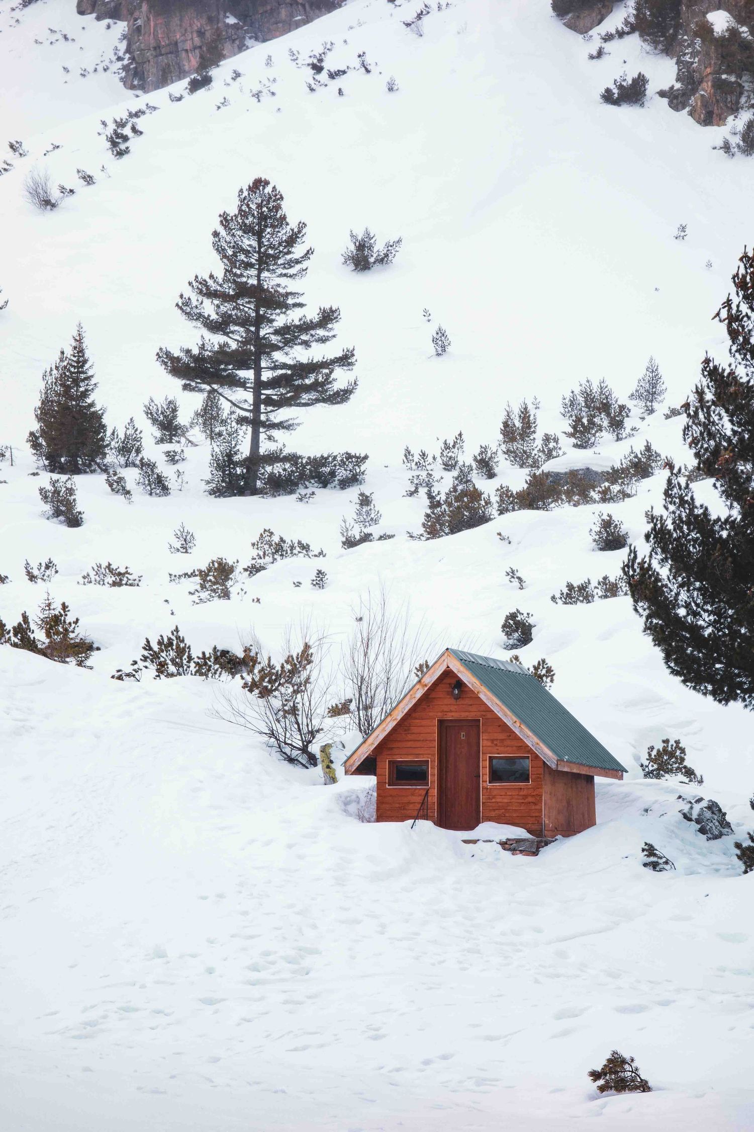A small red cabin nestled in a snowy mountain landscape with evergreen trees in winter.