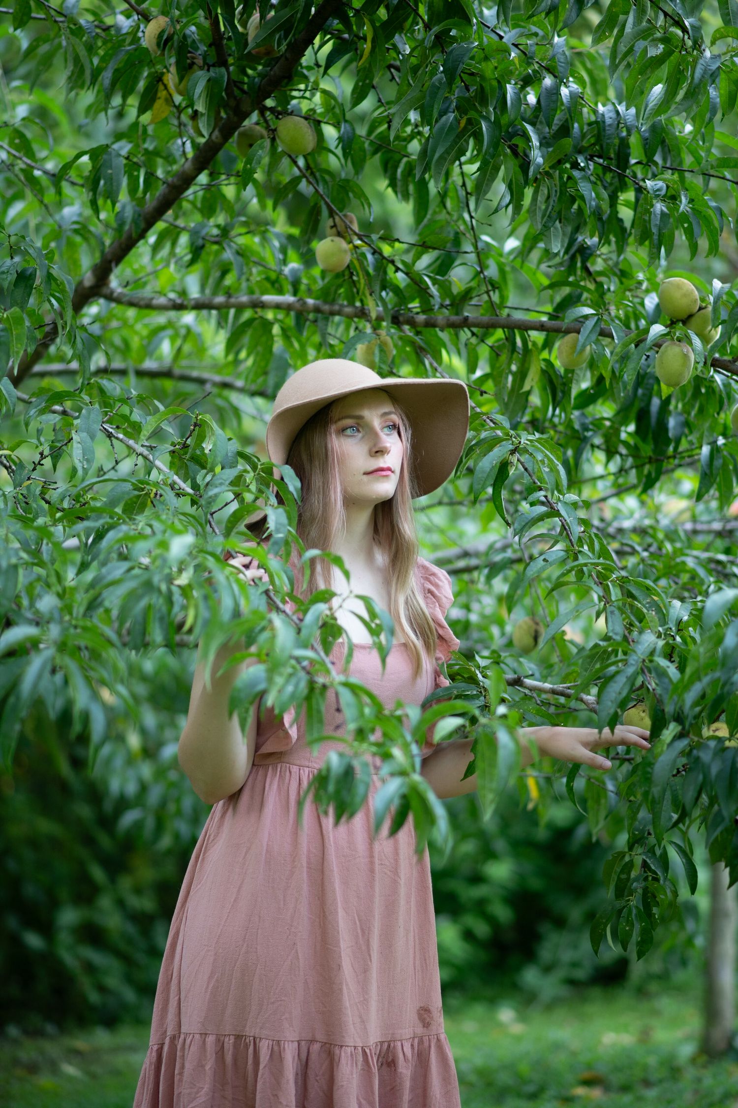 Woman in pink dress and sun hat picking fruit from a lush green tree in an orchard garden.
