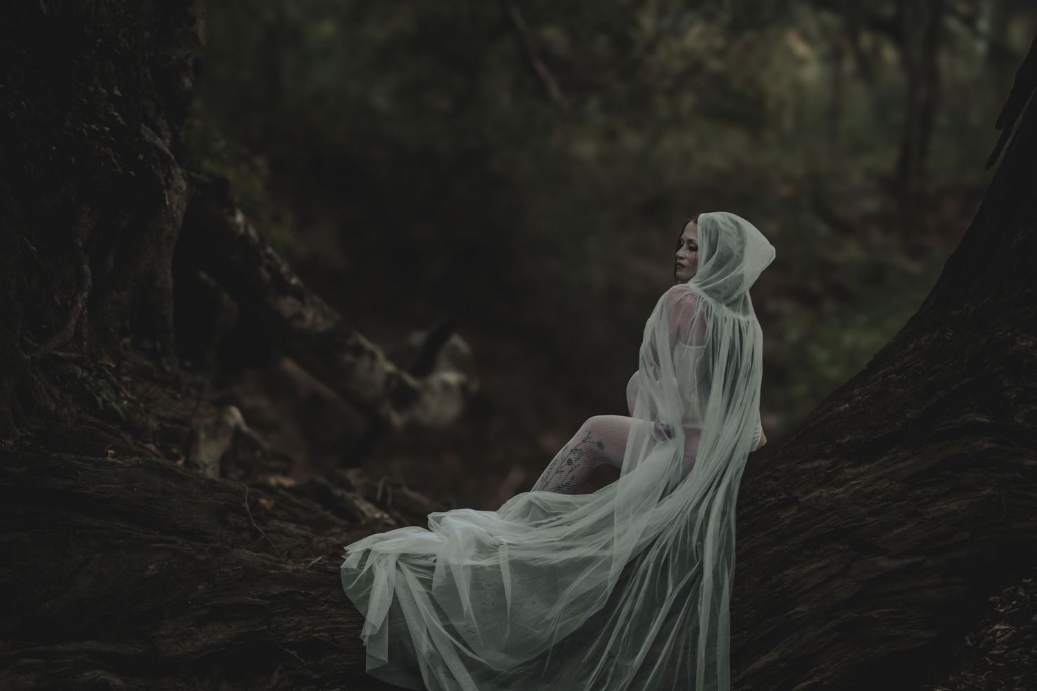 A woman in a flowing white hooded cape poses mystically among dark forest trees in an ethereal fine art portrait.