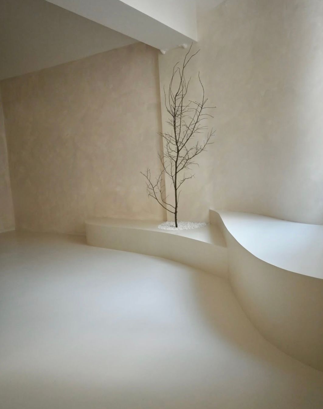 Minimalist white room with curved walls, bare tree sculpture on raised platform, soft neutral tones, serene interior design.