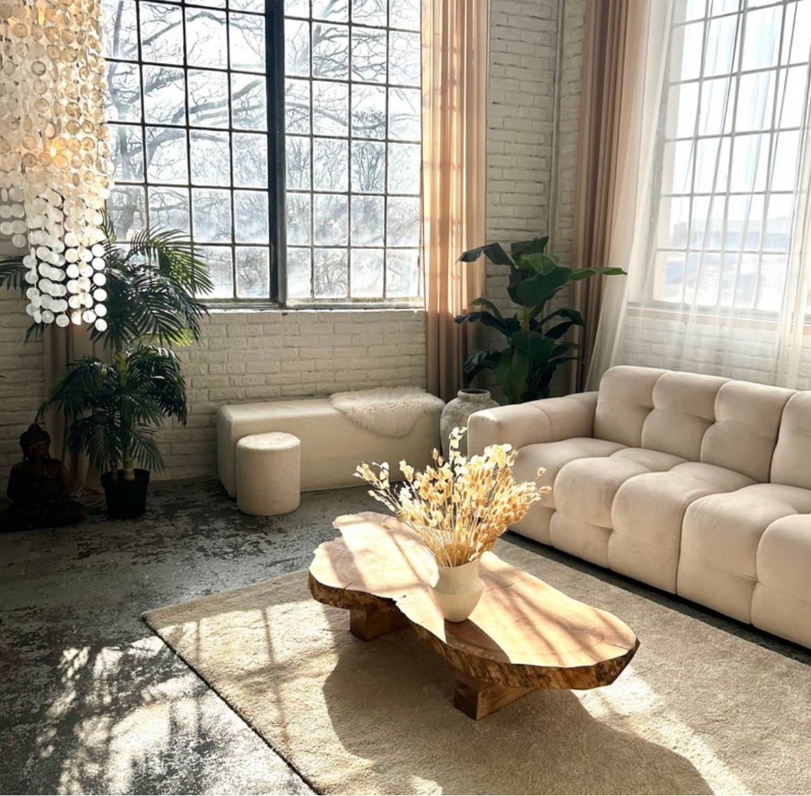 Bright boho living room with tufted cream sofa, organic wood coffee table, indoor plants, and large industrial windows.