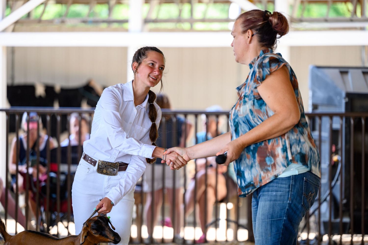 A handshake between a showman and a judge during a champion drive.