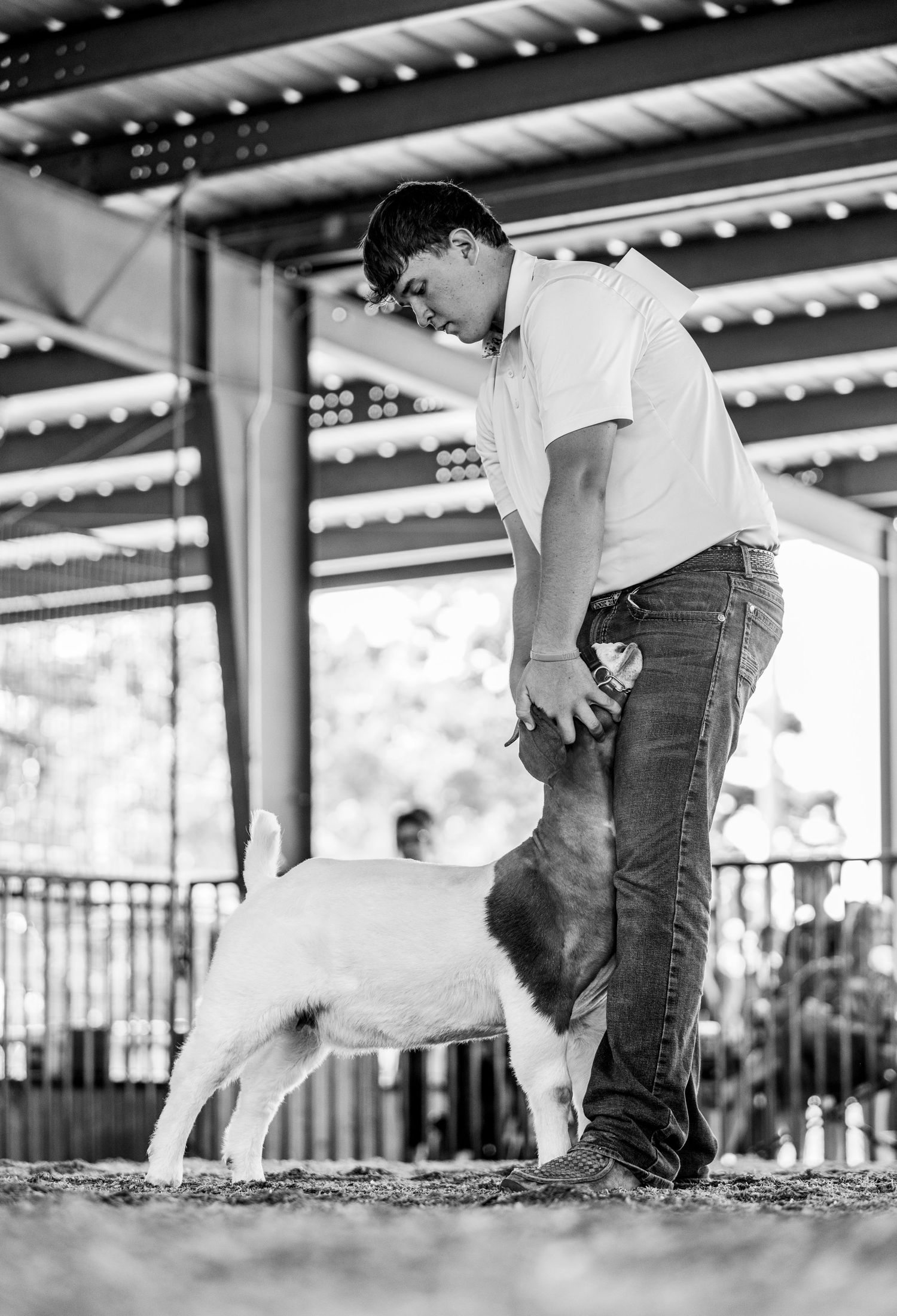 A senior showman showing off his class-winning goat at the Labette County Fair.