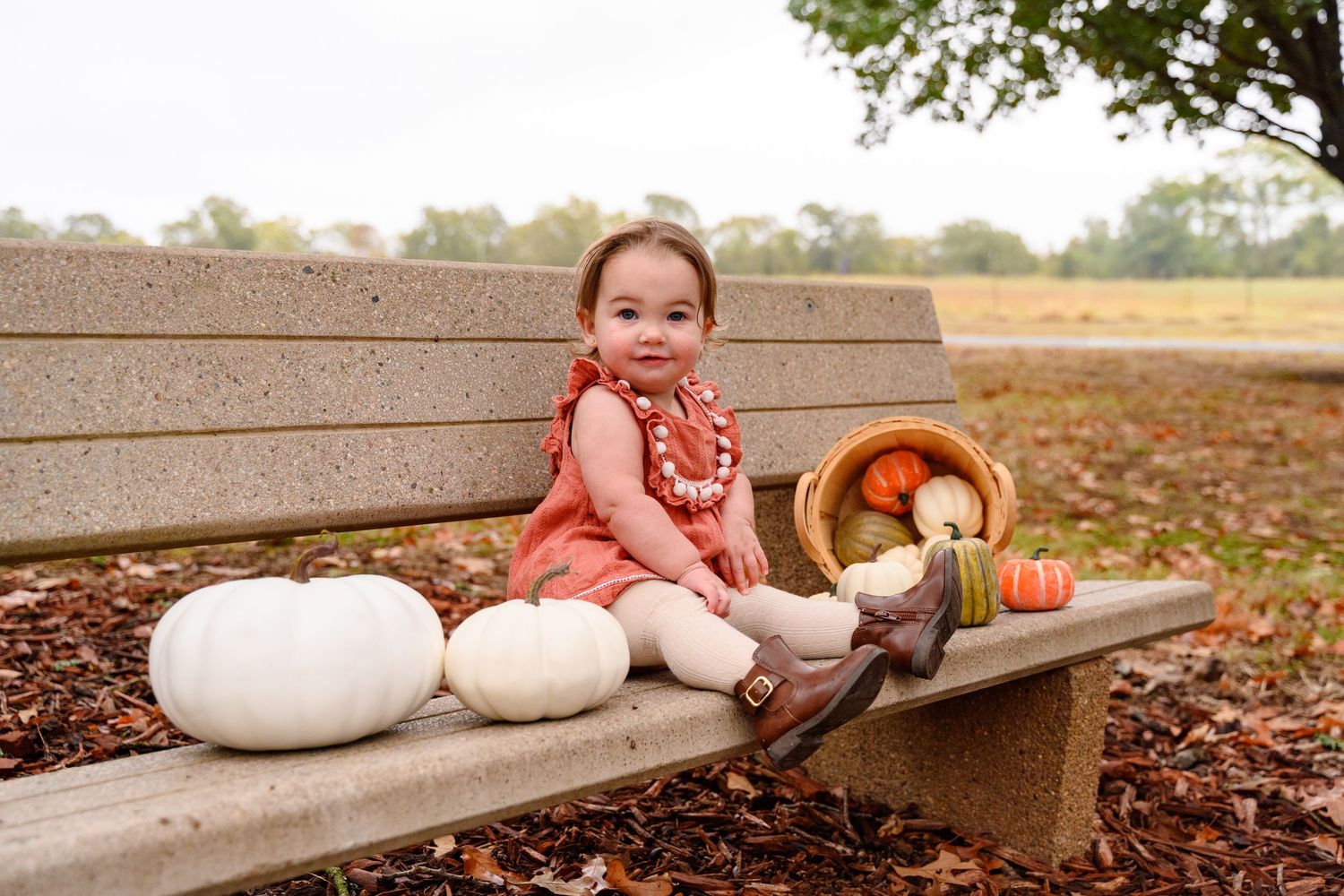 A little girl sitting on a bench, smiling at the camera, surrounded by pumpkins during the fall.