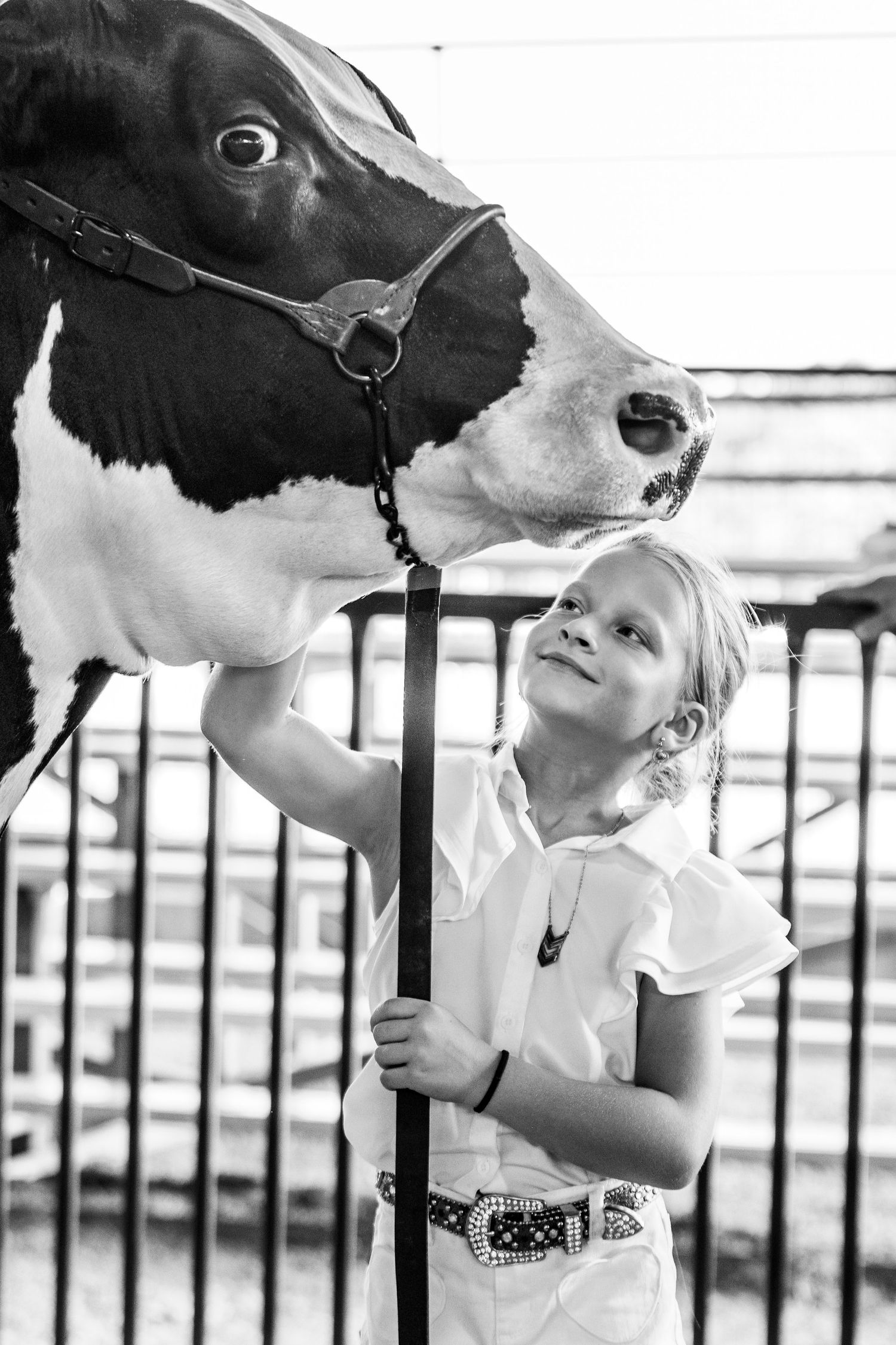 A young child in a white shirt shares a sweet moment with a black and white dairy cow at the Labette County Fair.