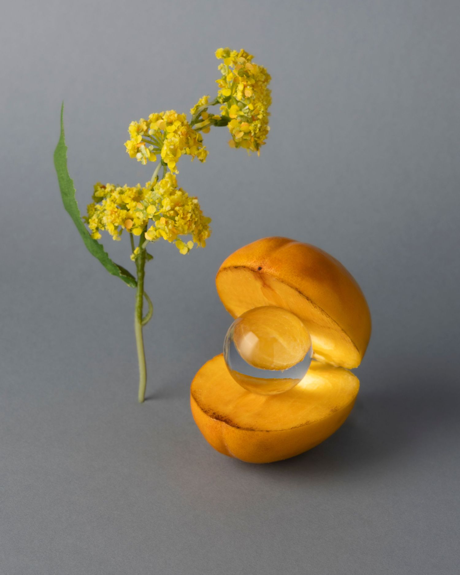A bright yellow flower stem emerges from a curved orange pumpkin against a gray background.