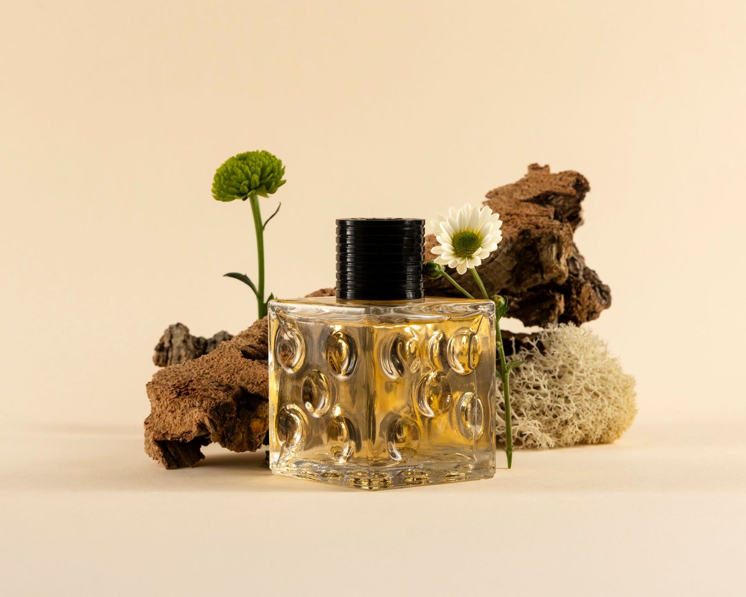 Small potted plants growing in glass jars with driftwood and moss create a miniature terrarium landscape.