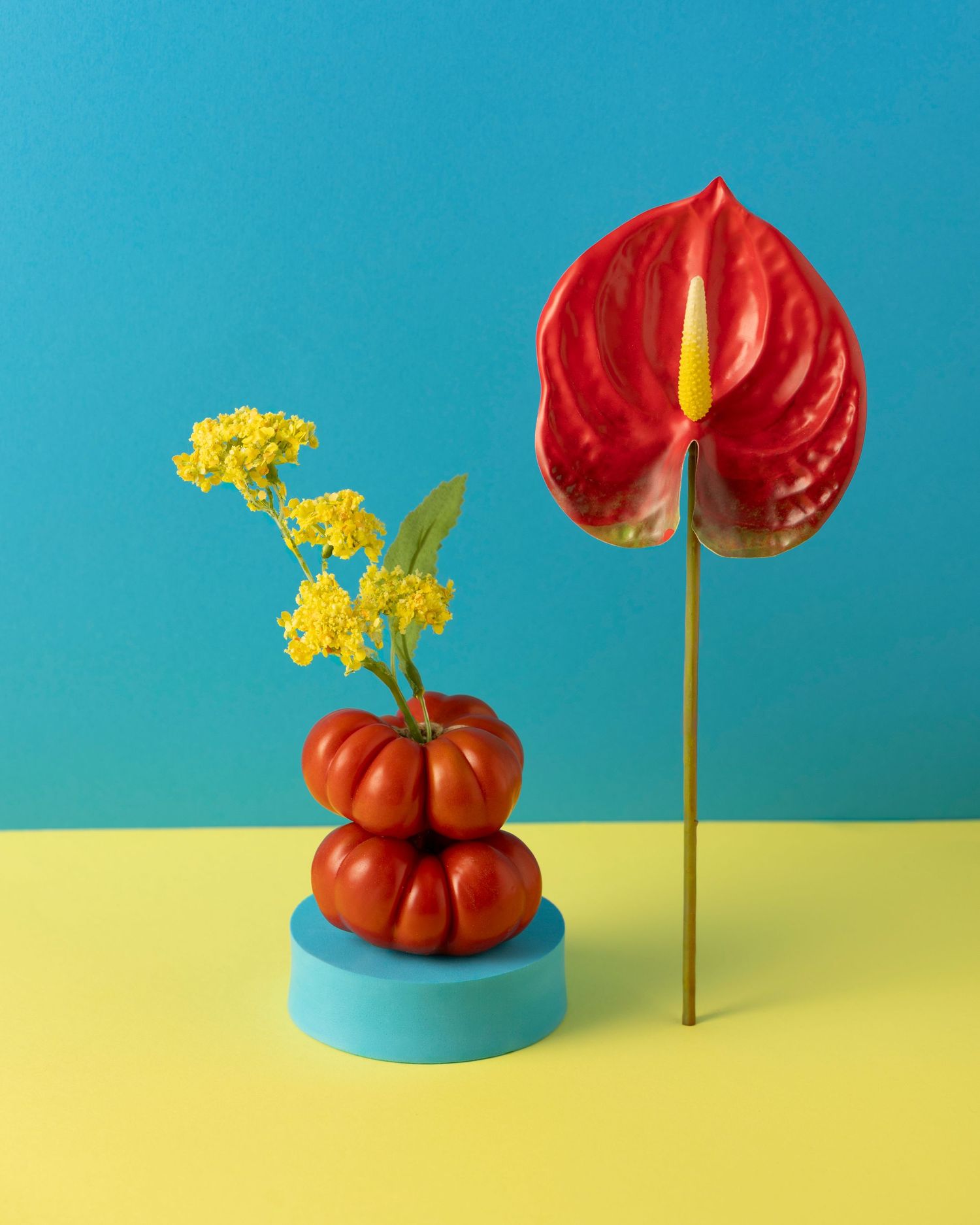 Red anthurium flower and yellow wildflowers arranged against vibrant blue and yellow color block background.