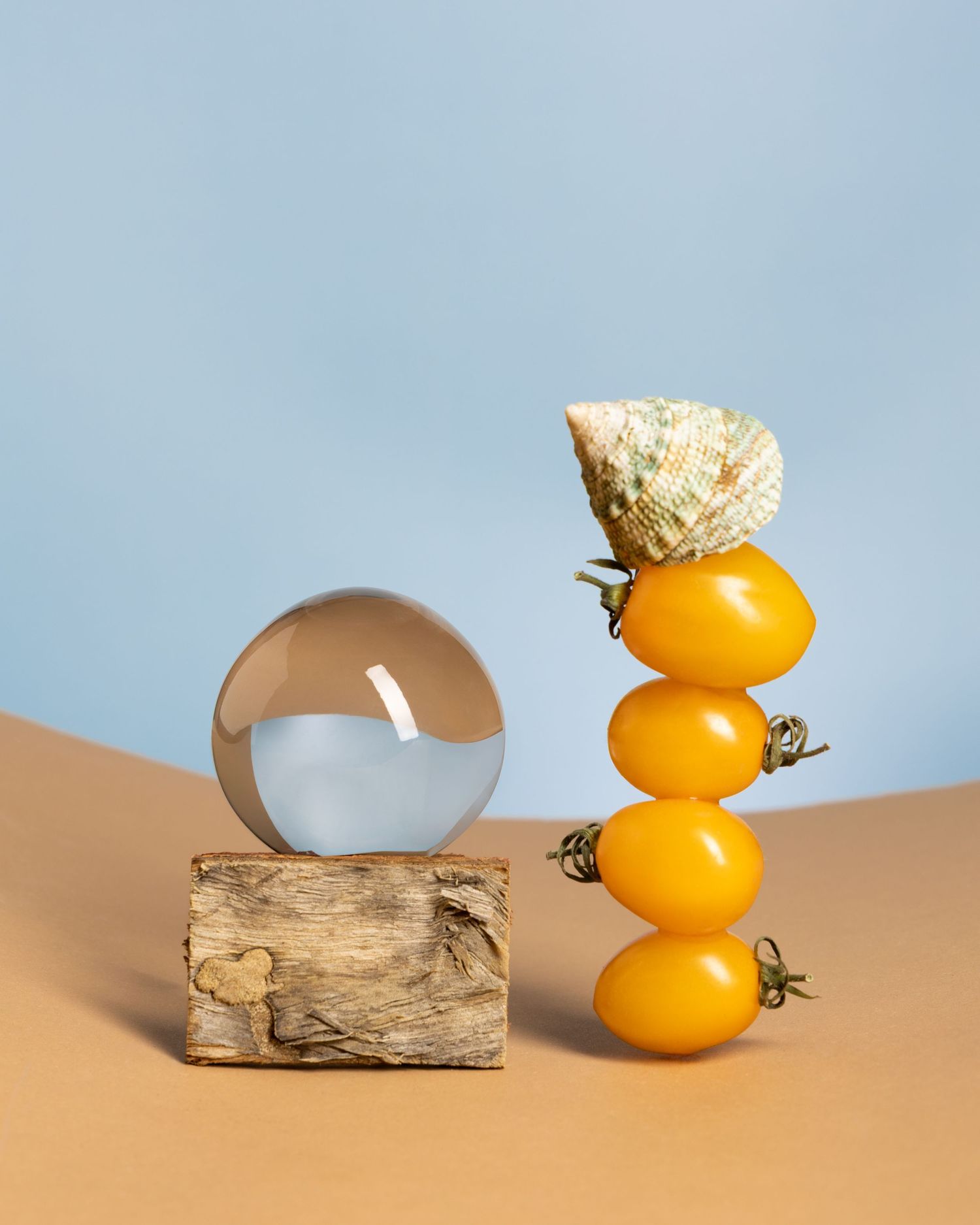 Still life photograph show yellow tomatoes with shell balanced on a piece of driftwood against a blue background.