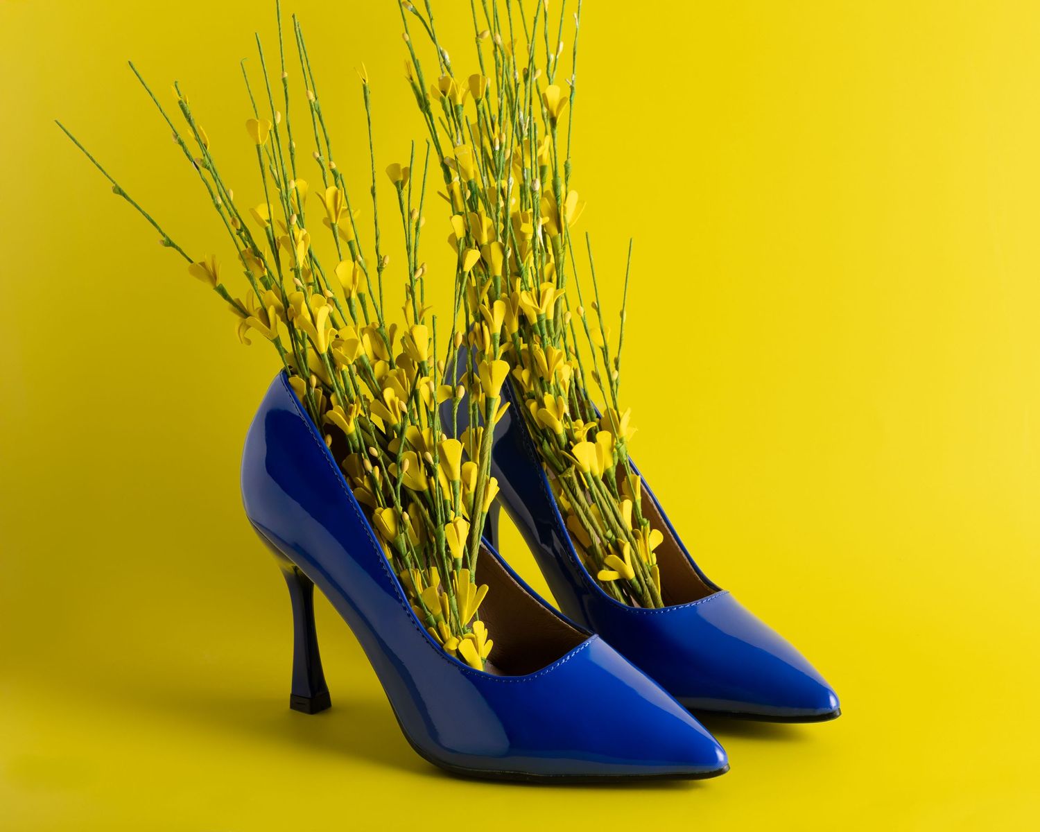 A pair of glossy blue high heels with yellow forsythia branches arranged inside them against a bright yellow background.
