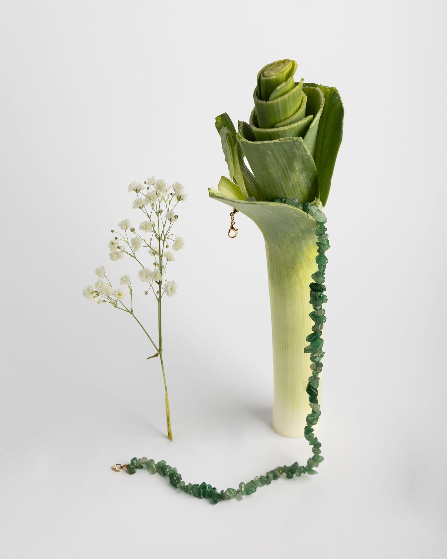 A white baby's breath flower stem stands beside a curled green leek or scallion against a light background.