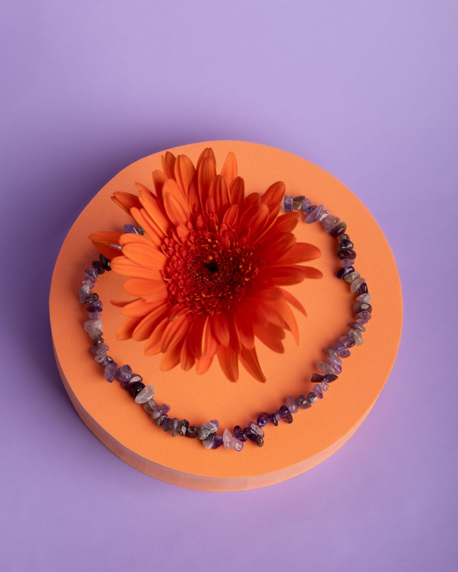 A bright orange Gerbera daisy flower displayed on a coral-colored disc against a purple background.