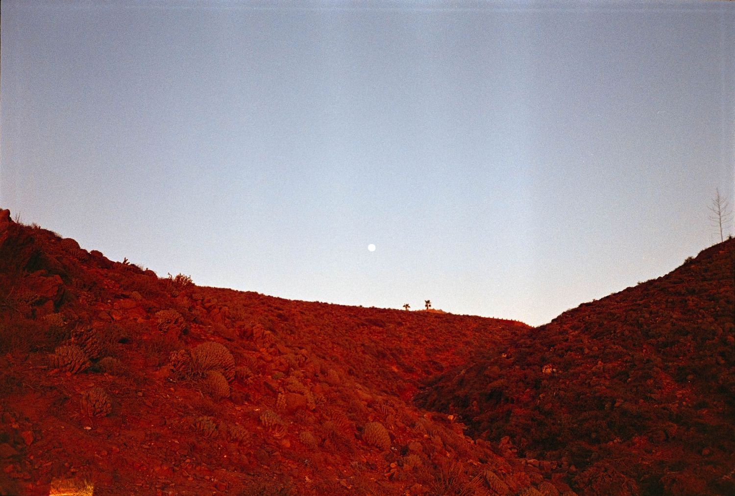 Red rocky hillside landscape at dusk with full moon rising in clear blue sky and two small figures on the ridge.
