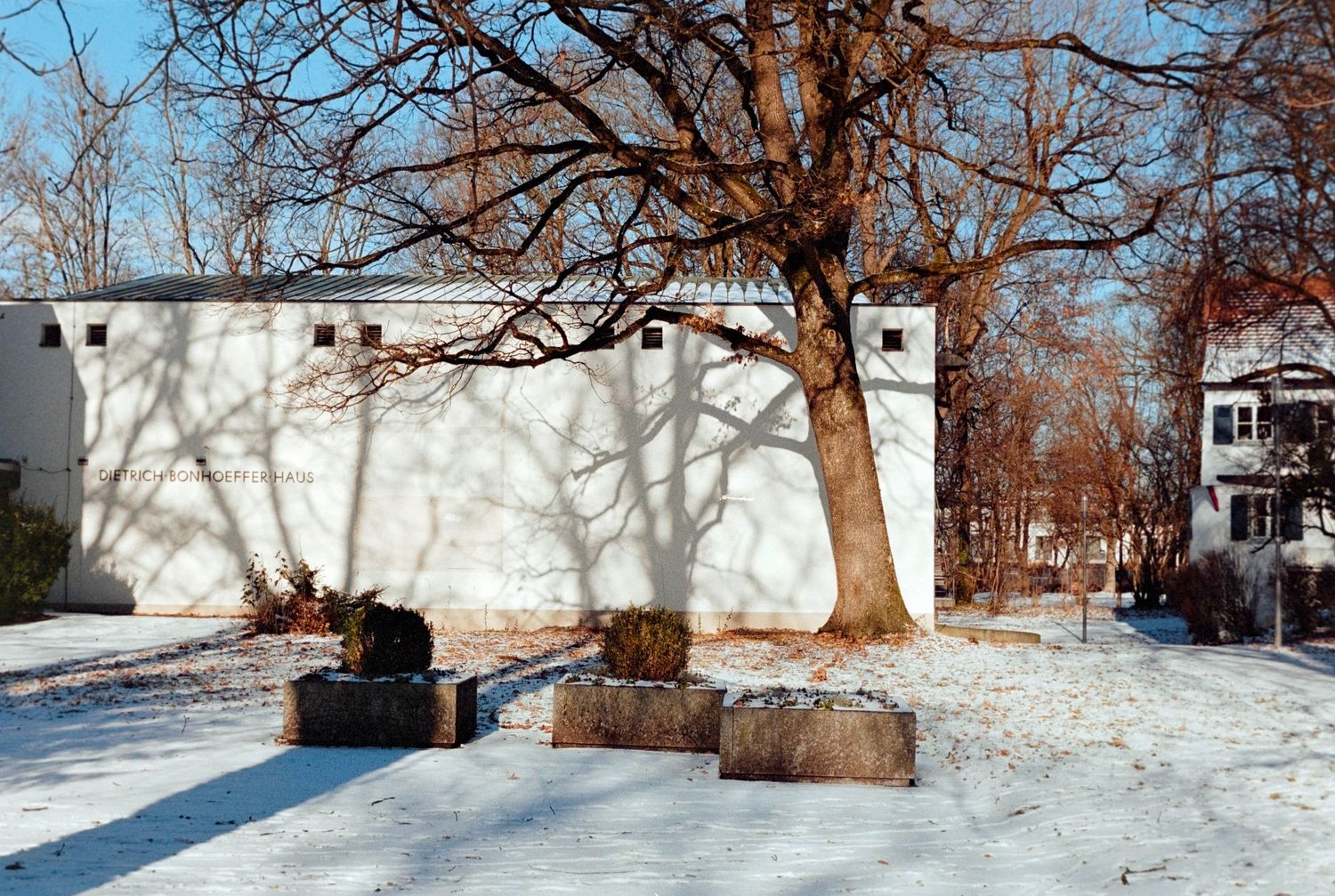 Snow-covered courtyard with bare tree casting shadows on white wall in winter landscape.