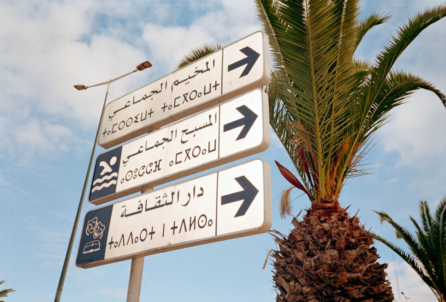 Arabic and Tifinagh bilingual street signs on a pole with a palm tree against a cloudy sky in North Africa.