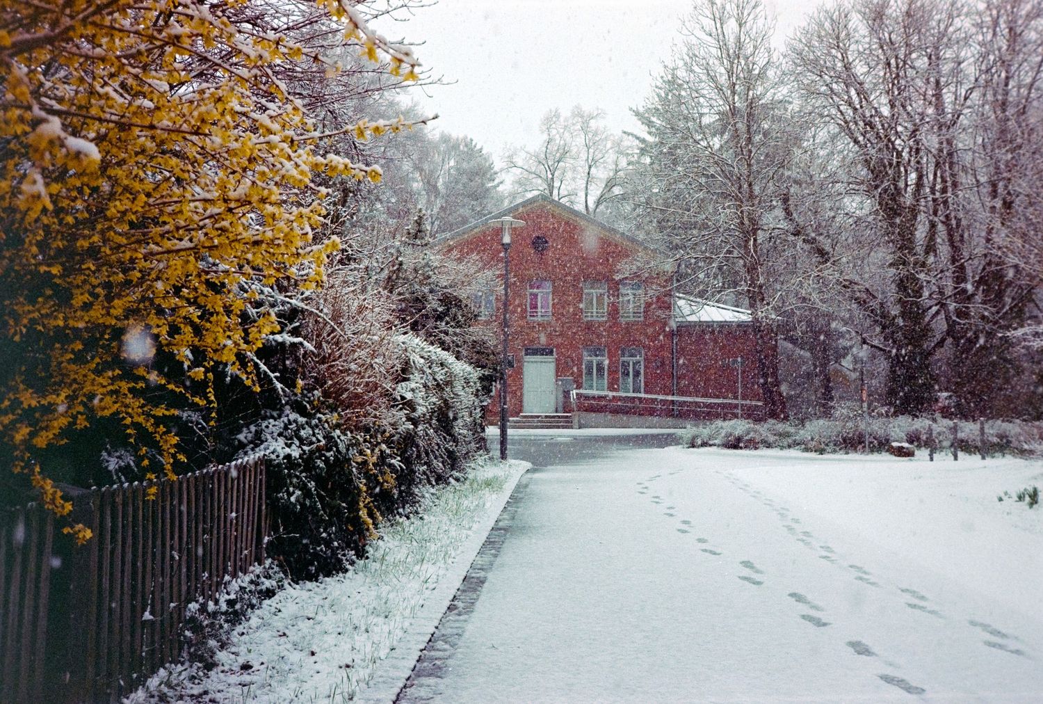 Snow-covered pathway leading to a red brick house surrounded by bare trees and yellow autumn foliage.