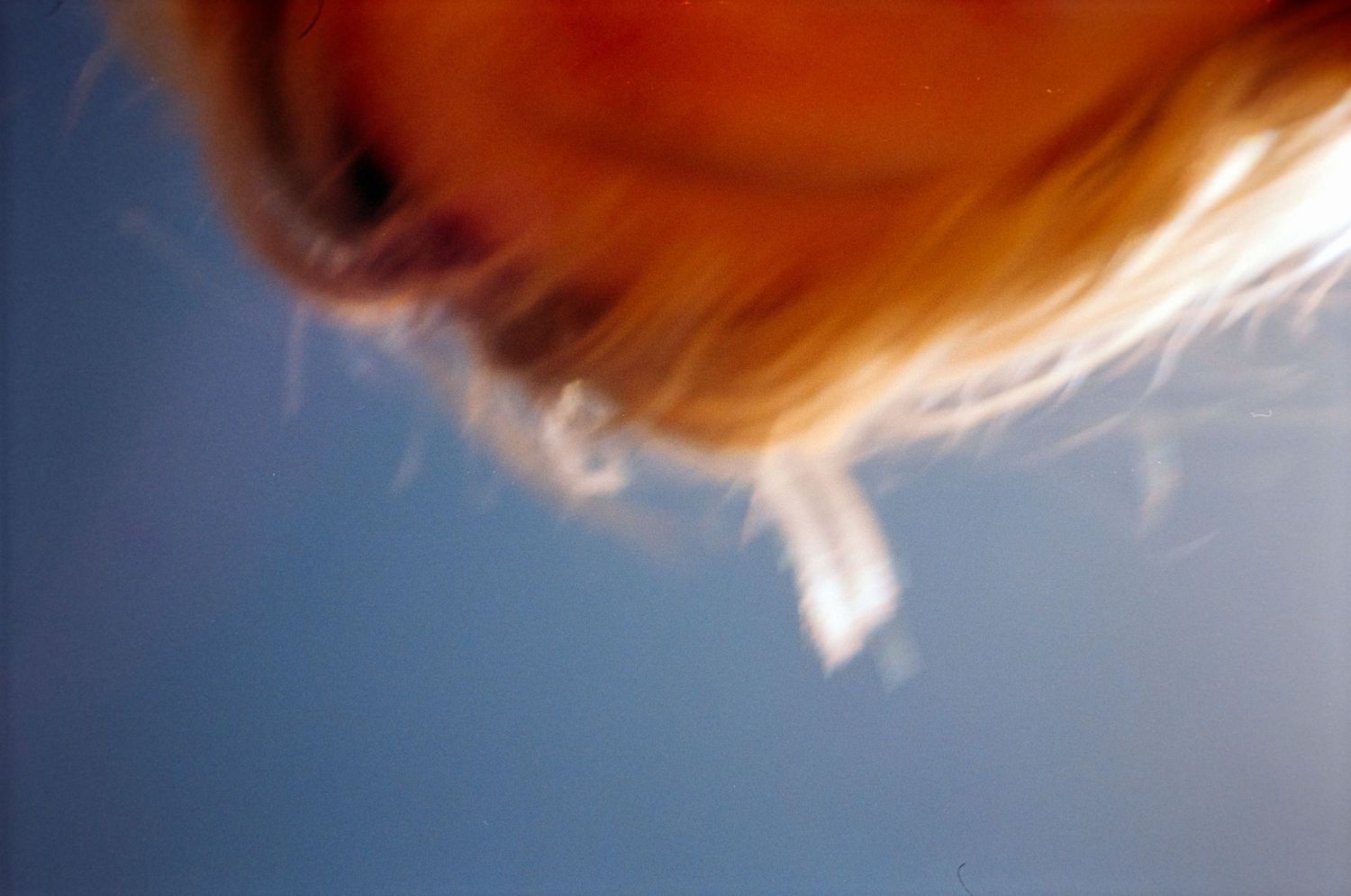 Blurred motion shot of blonde hair against a clear blue sky, creating an abstract artistic effect.