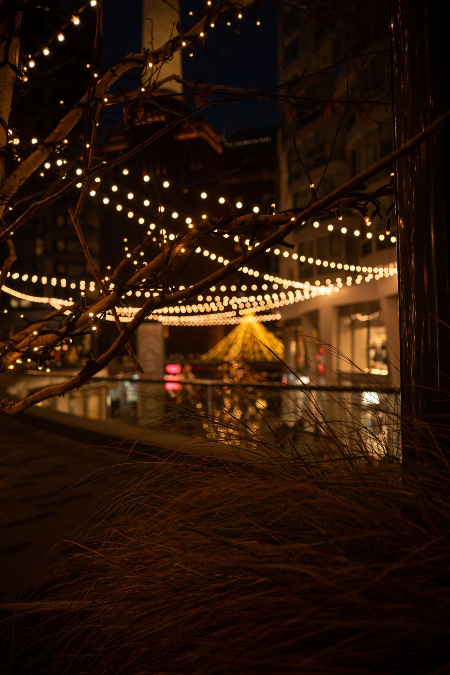 string lights, Battersea power station, London, new years eve. Tied in Time Photography.