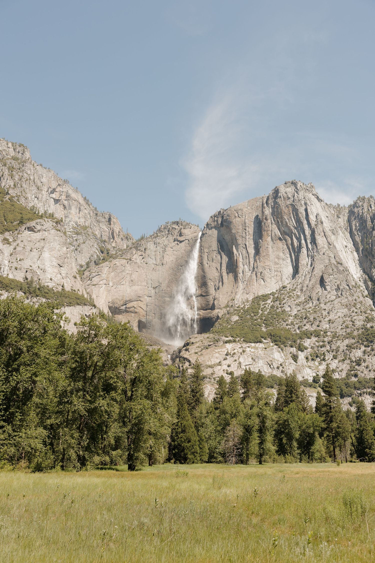 Yosemite Falls cascading down granite cliffs above a green meadow and forest in Yosemite National Park.