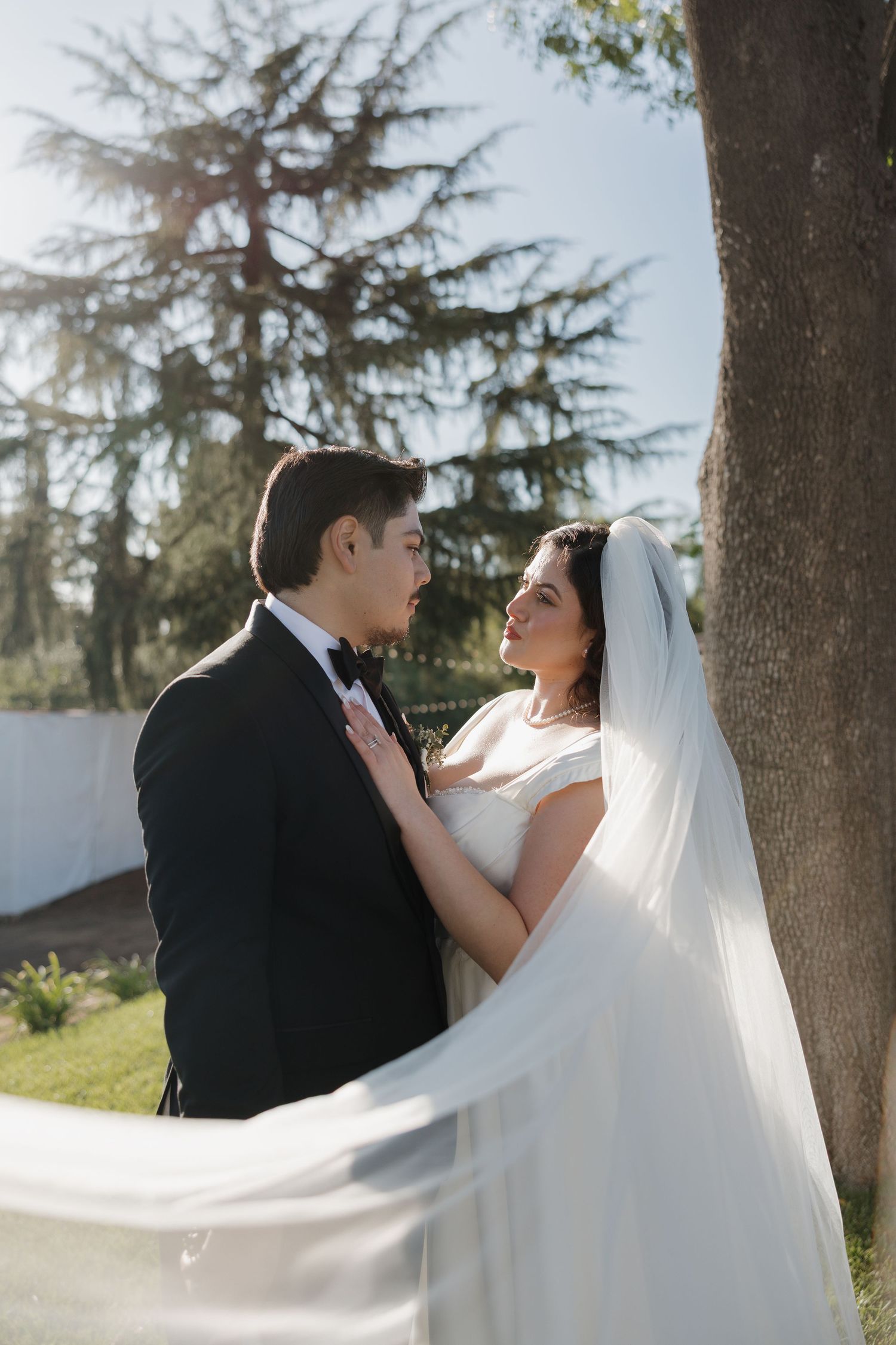 Bride and groom share a romantic moment by a tree, bride in white gown with veil, groom in black tuxedo.