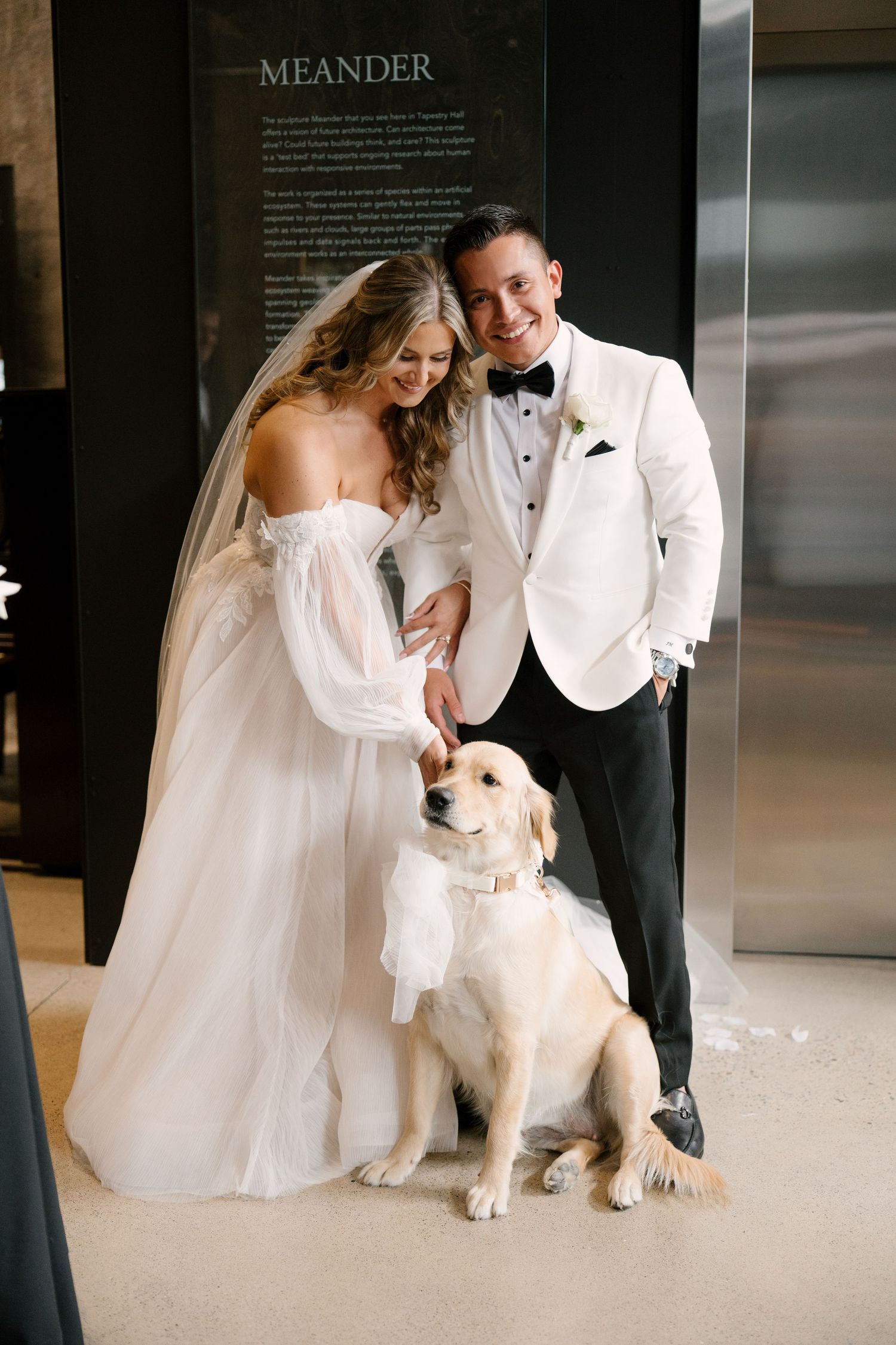 Happy bride and groom posing with their golden retriever wearing a bow tie inside a modern wedding venue.
