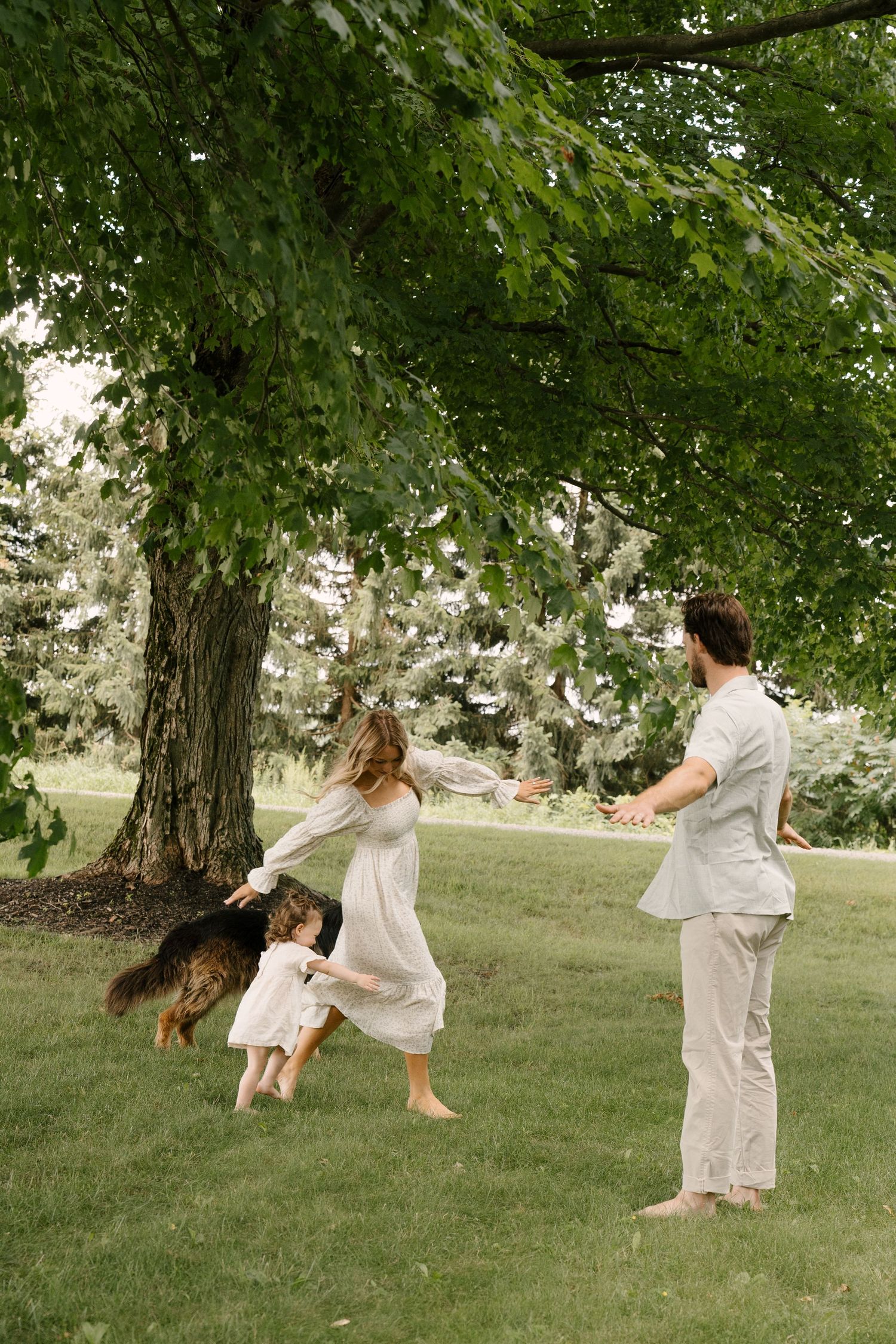A barefoot family plays together under a large tree in a lush green park with their German Shepherd.