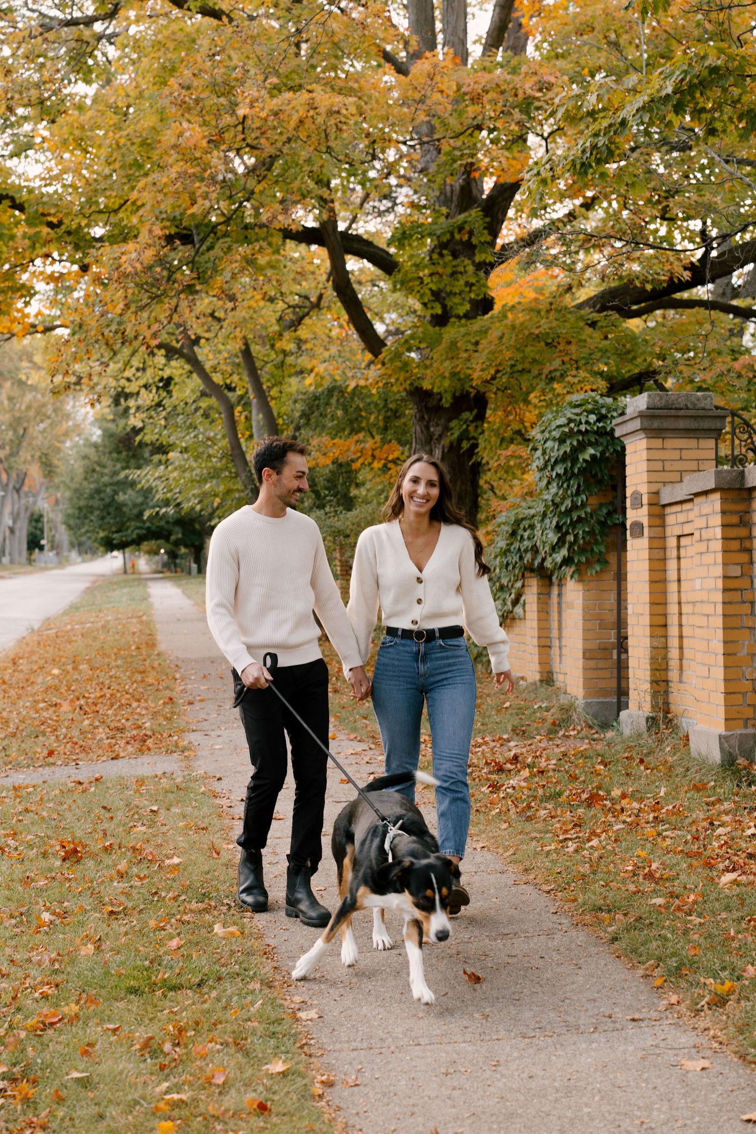 Smiling couple walking their dog along a tree-lined sidewalk covered in colorful autumn leaves.