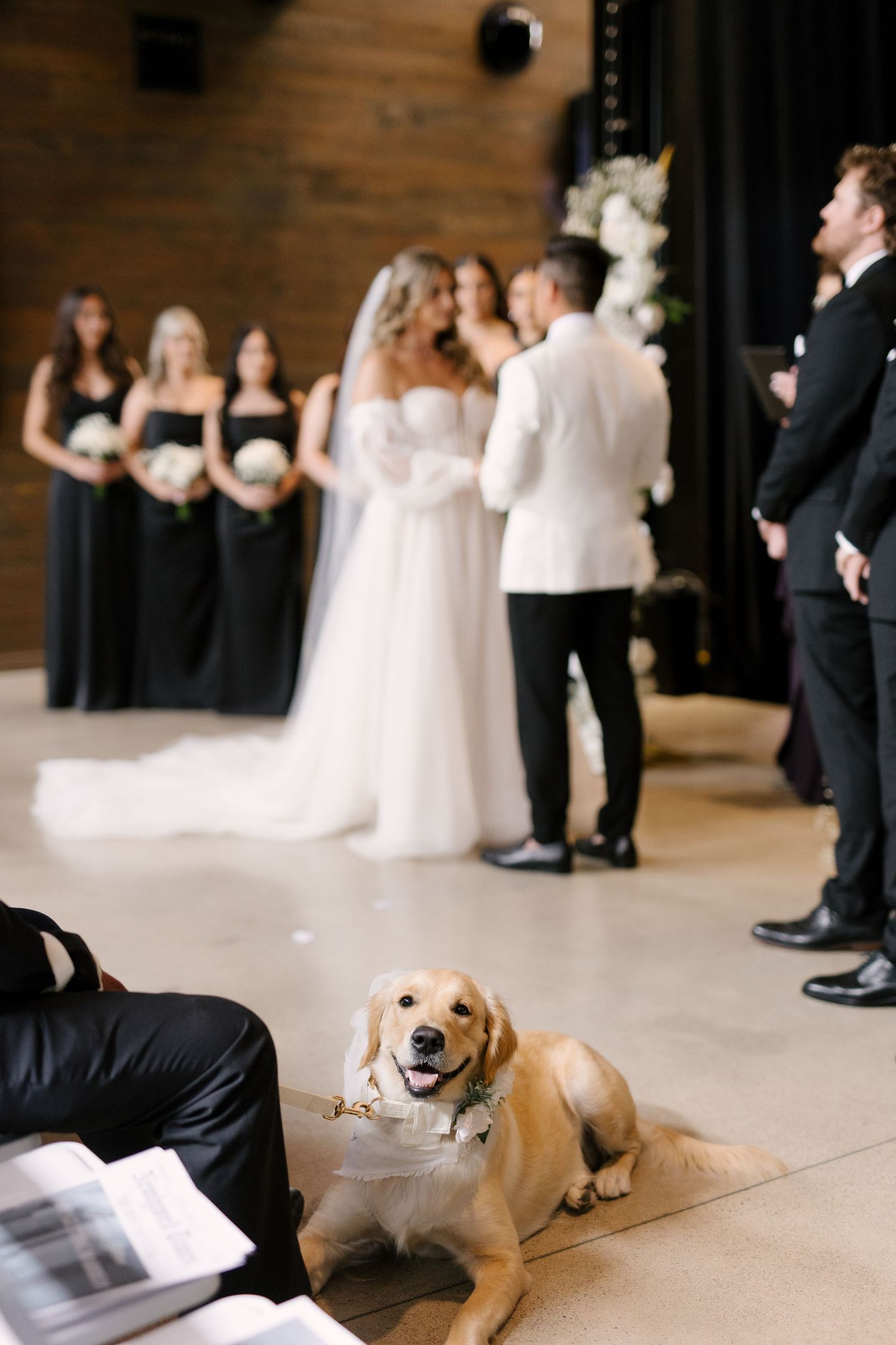 Golden retriever dog sits at wedding ceremony aisle while bride and groom exchange vows indoors at Tapestry Hall wedding venue.