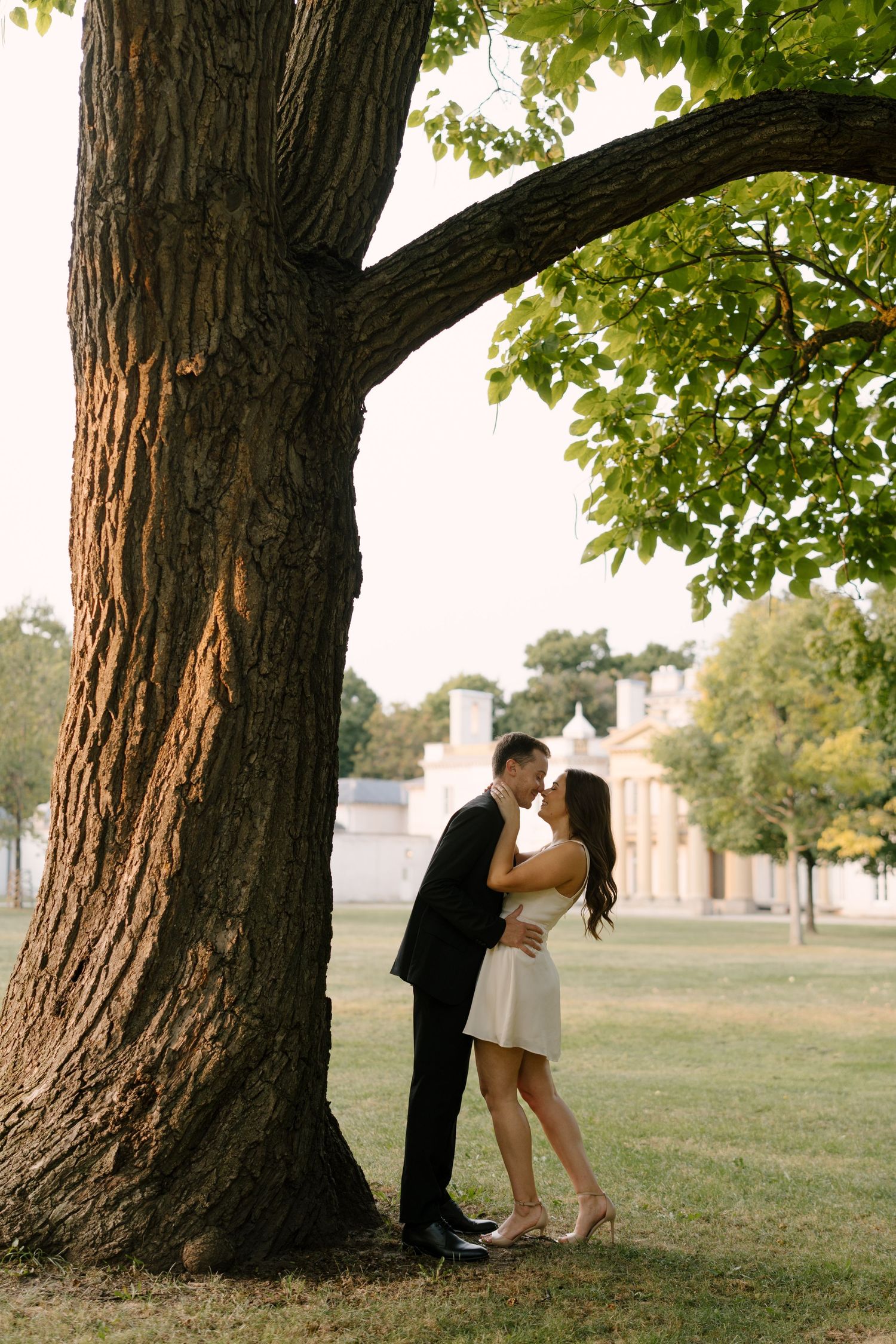 Couple sharing a romantic kiss under a large oak tree in a sunlit park with a historic building in background.