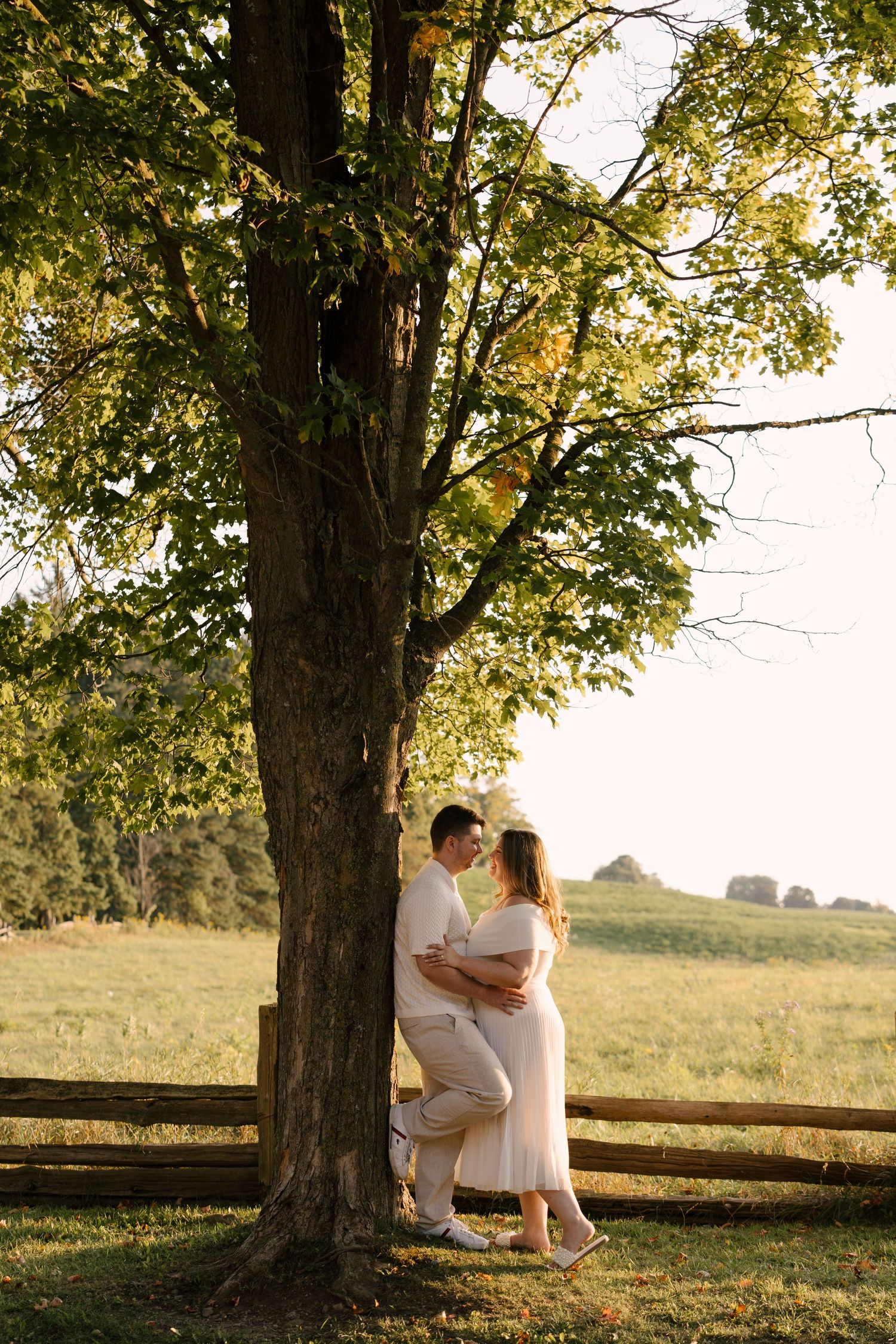 Couple embracing under large tree in open field during golden hour at sunset.