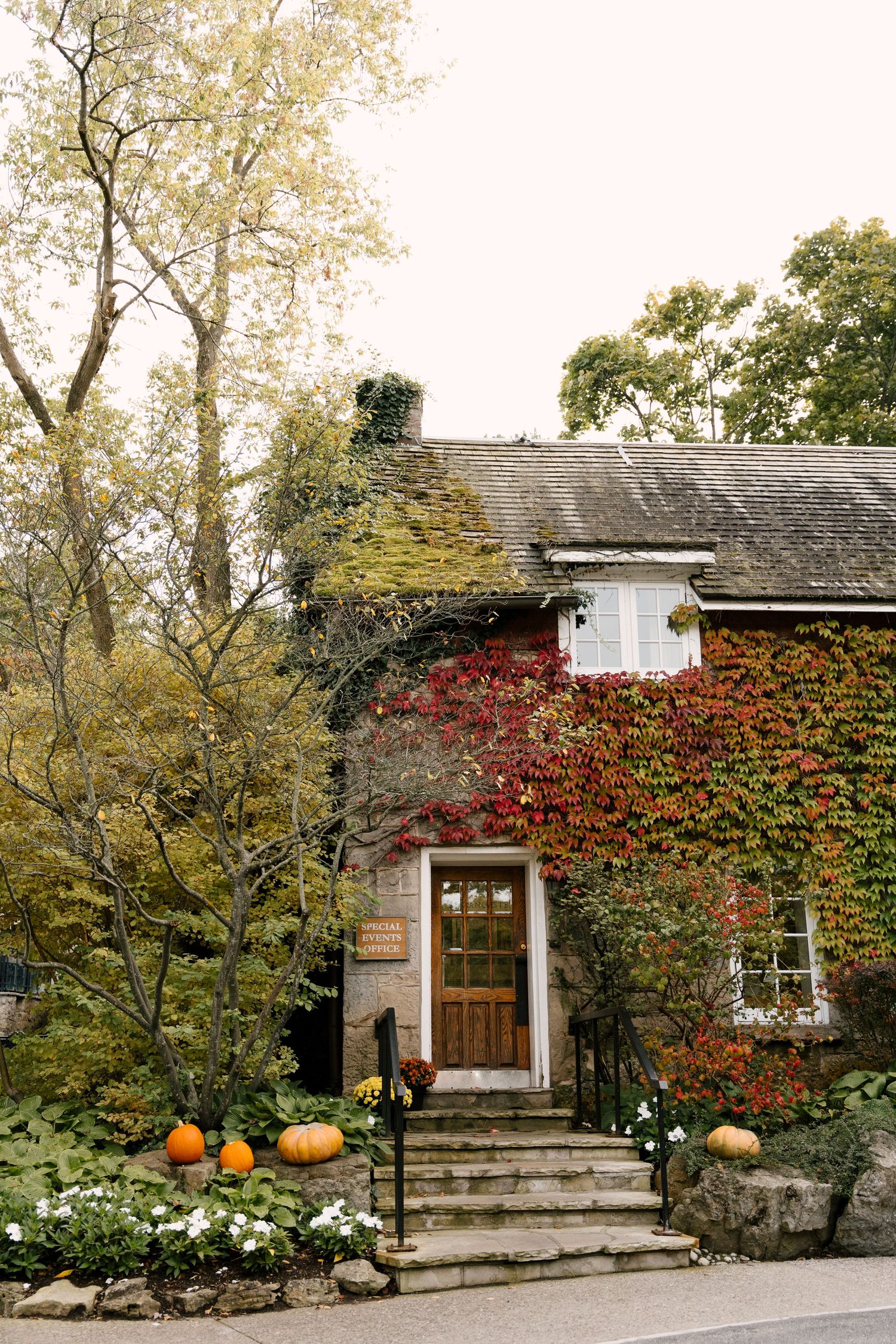 Charming stone wedding venue covered in vibrant autumn ivy with pumpkins decorating the entrance steps.