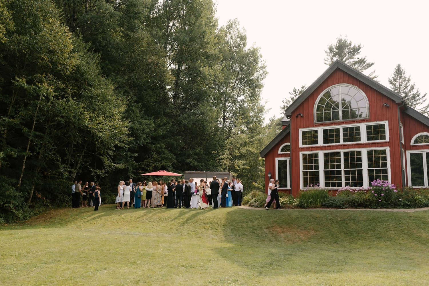 Wedding guests mingle on a sunlit lawn beside a classic red barn venue framed by tall forest trees in Muskoka.
