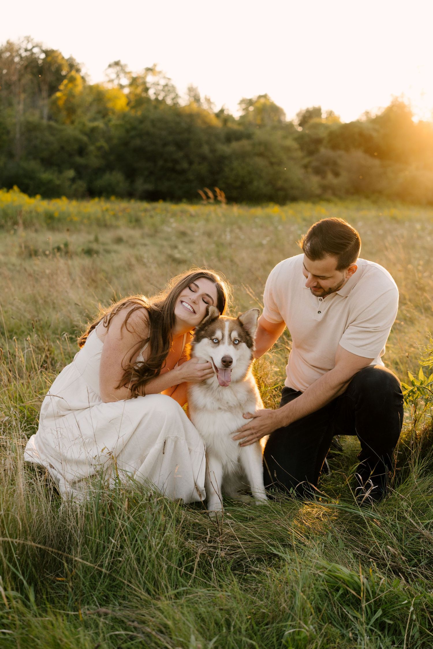 Smiling couple petting their Husky dog in a sunny golden field at sunset.