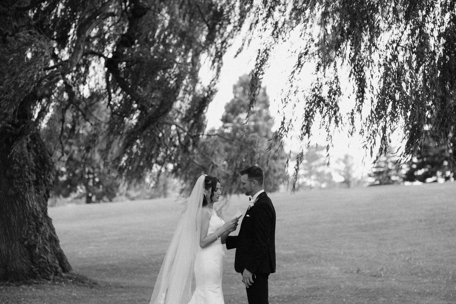 Black and white wedding portrait of couple embracing under a dramatic weeping willow tree.