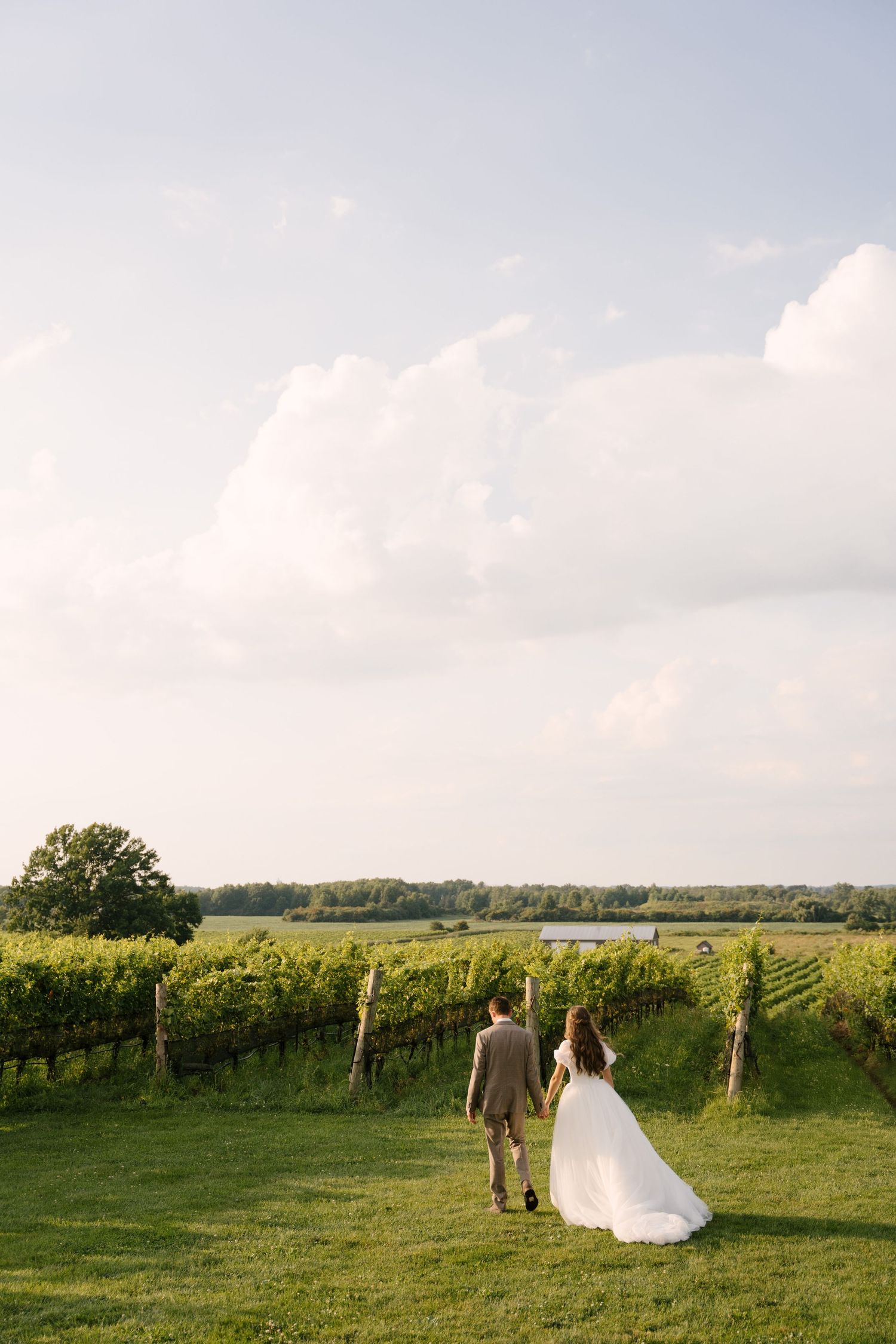 Newlywed couple strolling hand in hand along a Niagara-on-the-lake vineyard with a serene lake view at sunset.