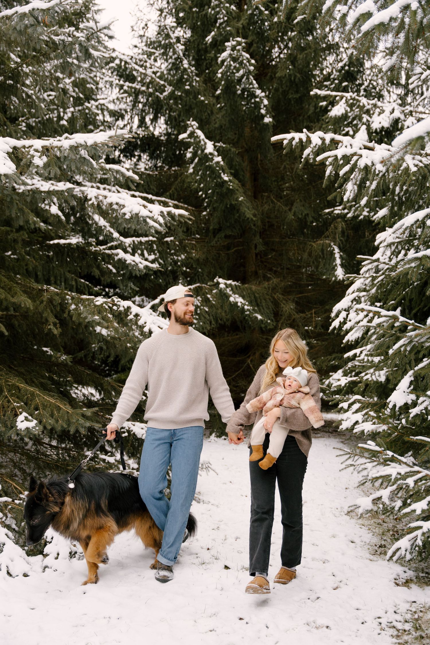 Couple holding hands and baby walking with German Shepherd through snowy evergreen forest in winter.