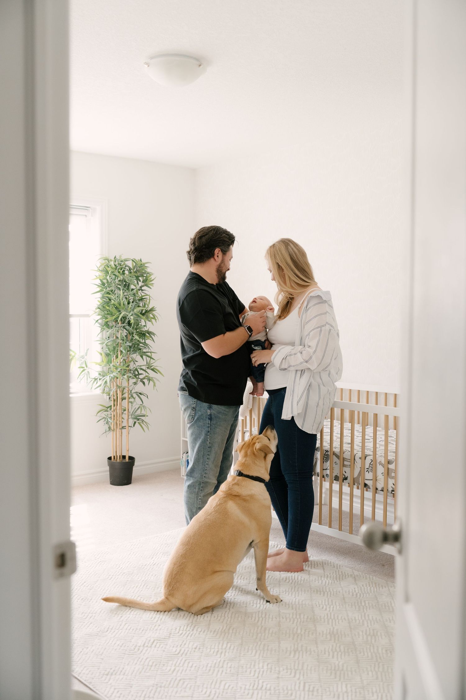 A couple stands in a nursery holding their newborn baby while a golden Labrador sits attentively at their feet.