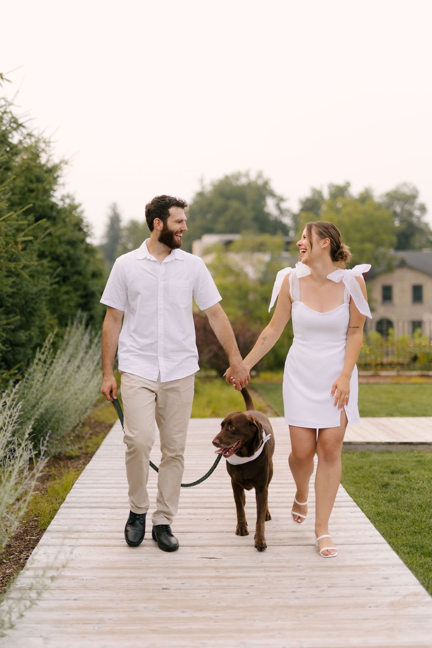 Smiling couple in white outfits holding hands while walking their chocolate Labrador on a wooden boardwalk.