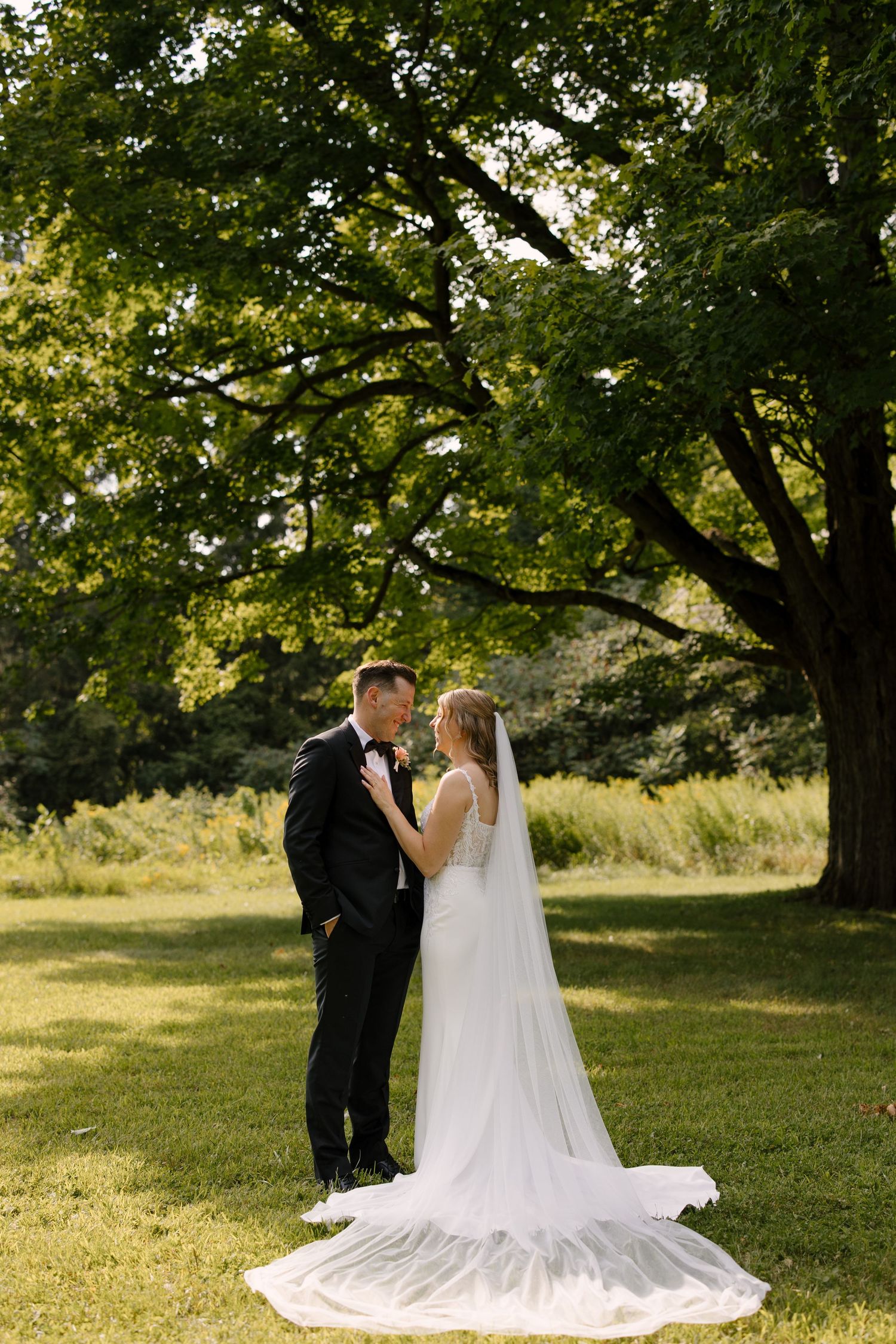 Bride and groom share a romantic moment beneath a large oak tree in golden sunlight.