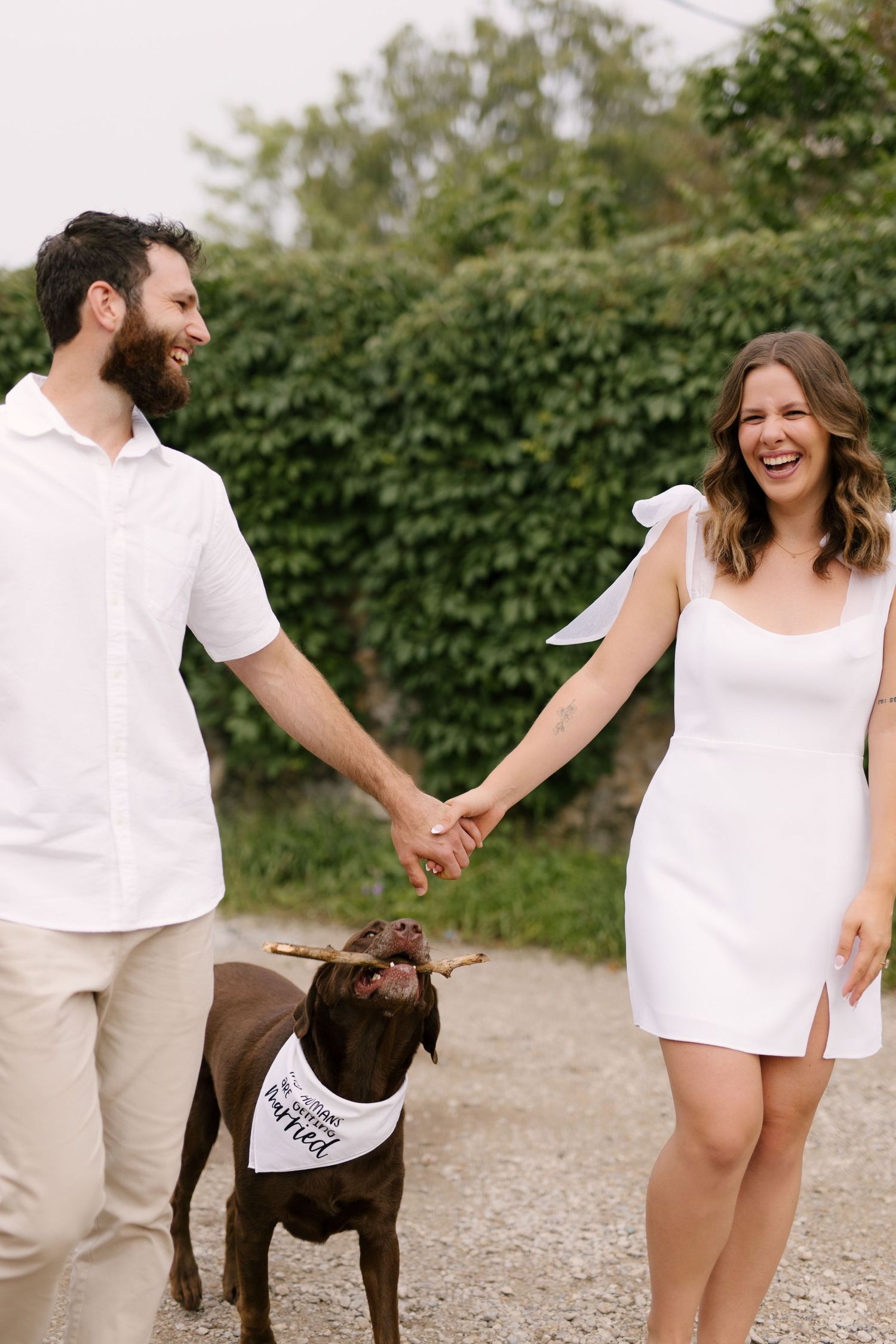 Laughing engaged couple walking their chocolate lab dog wearing a bandana on a gravel path.