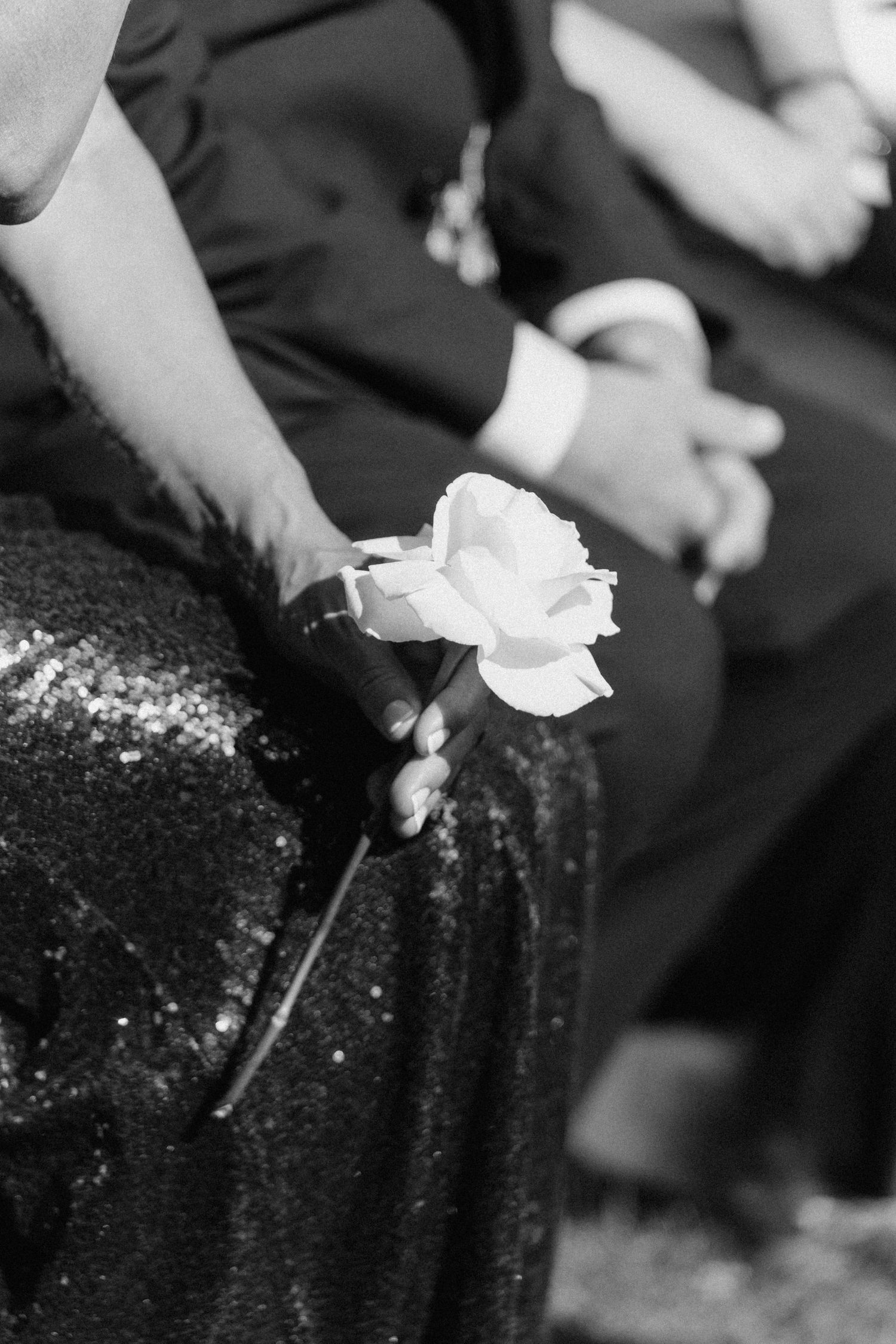 Black and white close-up of hands holding a white rose at a formal wedding ceremony.