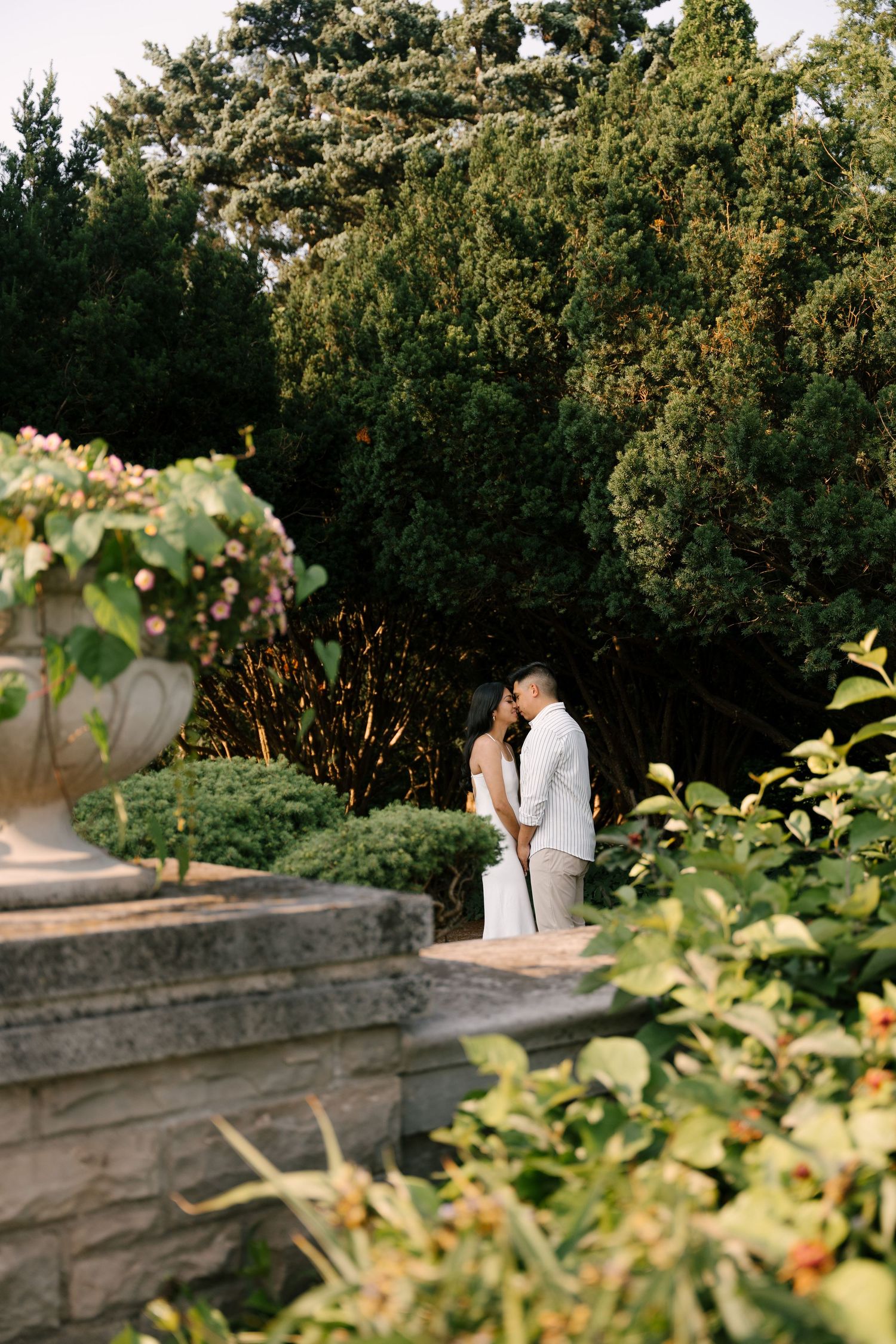 Couple embracing romantically among lush garden greenery and flowering plants in warm golden hour light.