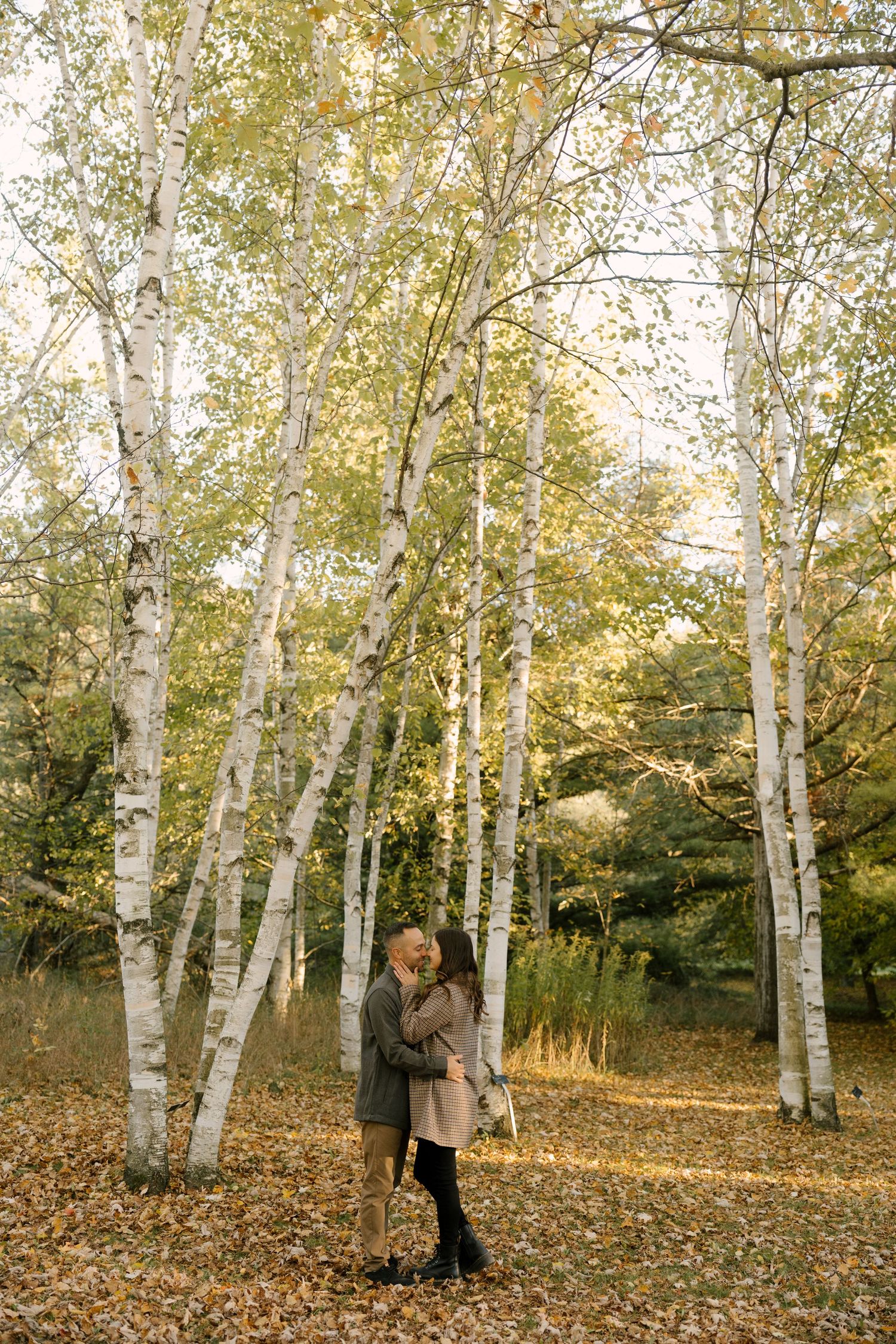 Couple kissing among tall birch trees covered in yellow fall foliage in autumn forest.