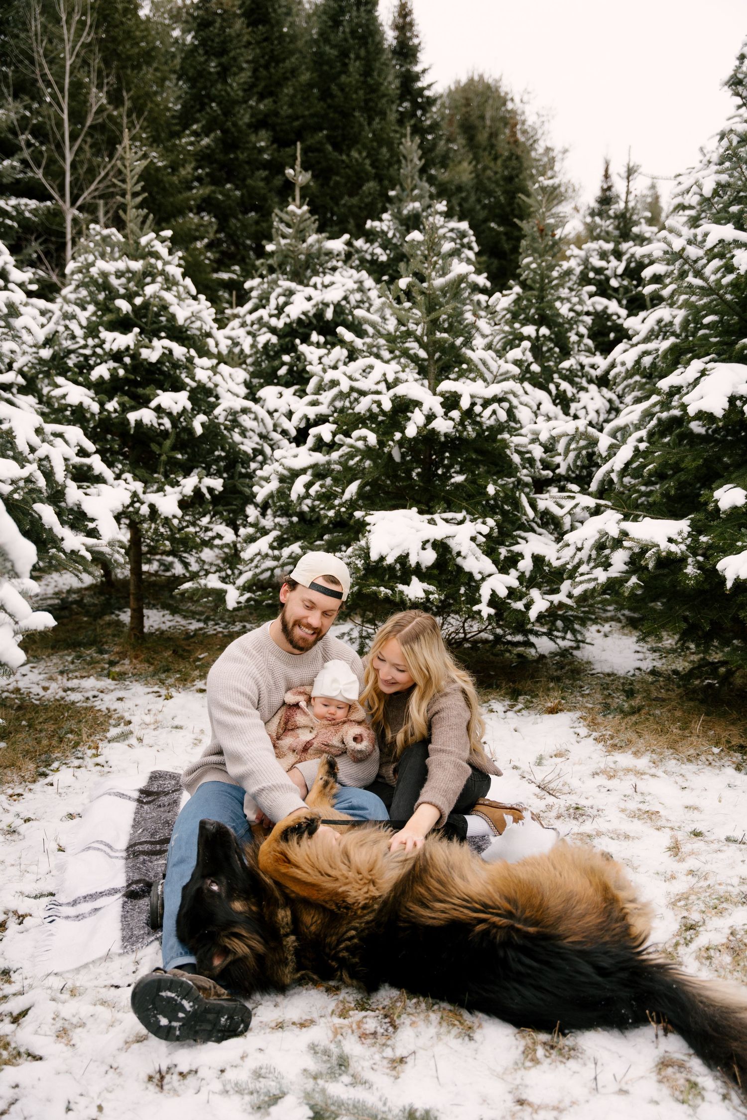 Joyful family playing with German Shepherd dog while sitting in snow at Christmas tree farm.