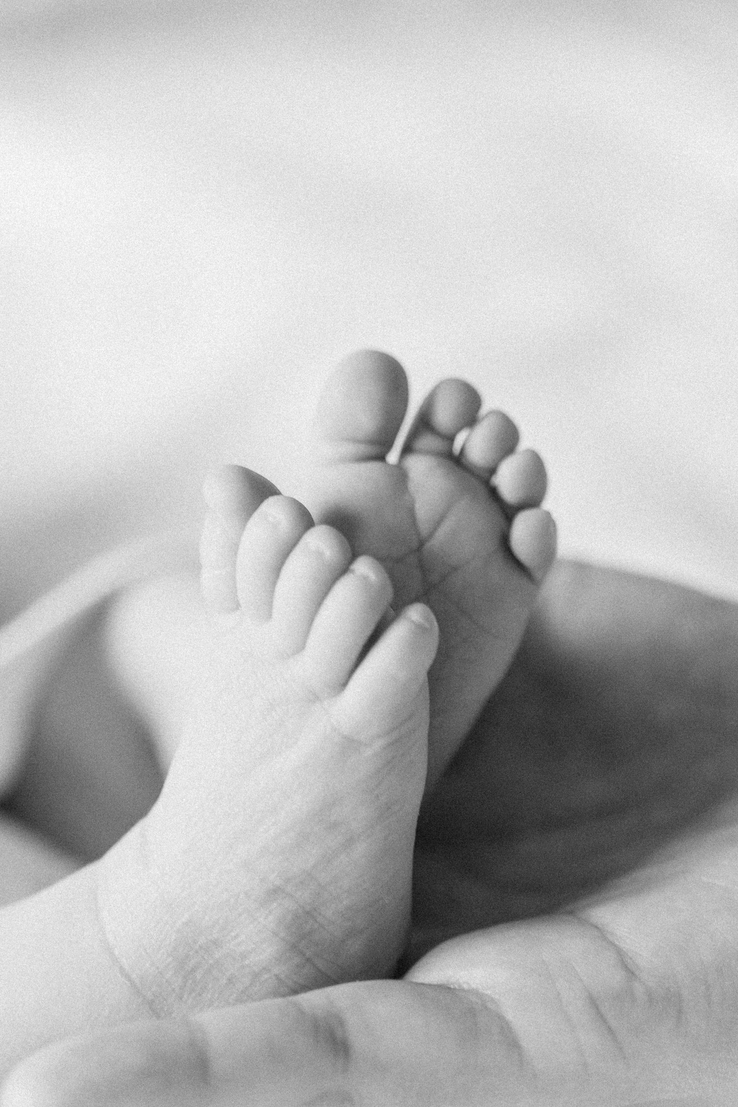 Close-up black and white photo of tiny newborn baby feet resting in parent's gentle hands.
