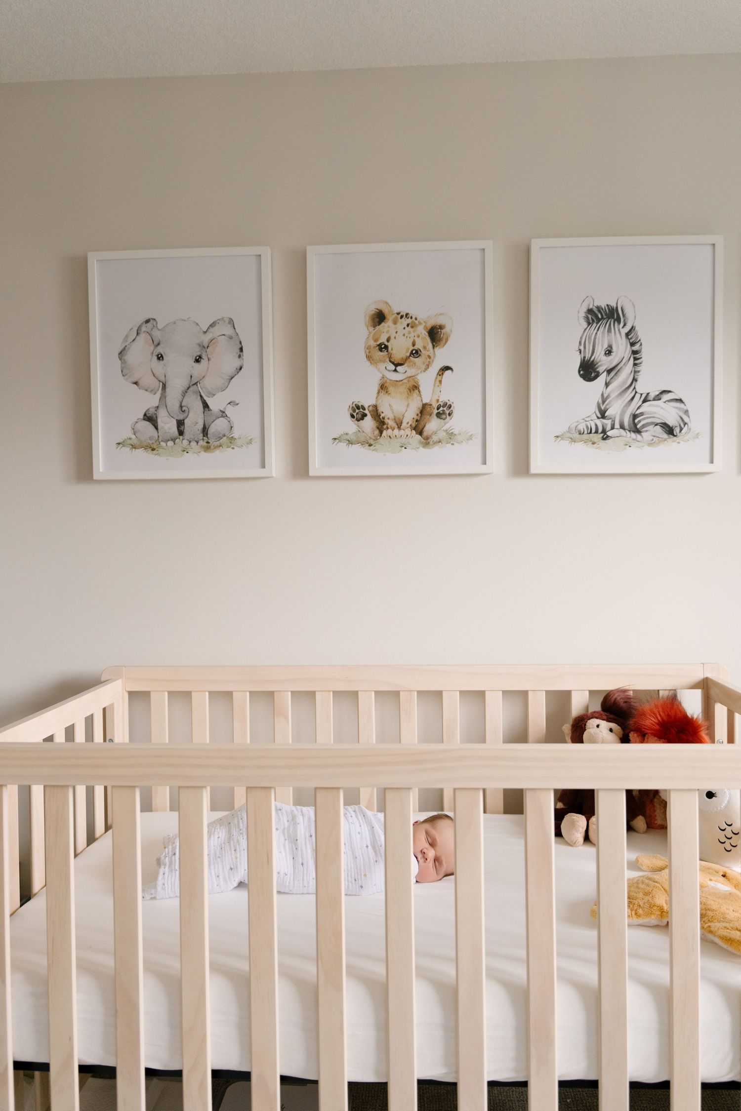 Newborn baby sleeps in a light wood crib beneath three framed safari animal nursery art prints.