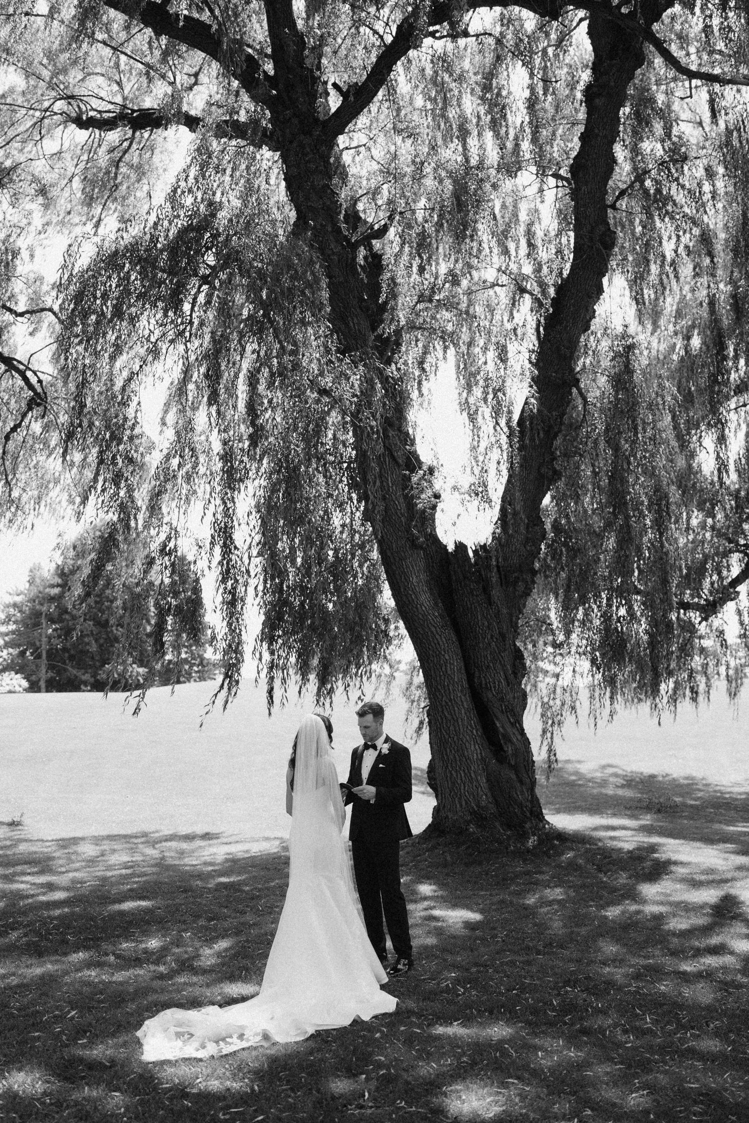 Black and white photo of bride and groom sharing a moment under a large weeping willow tree.