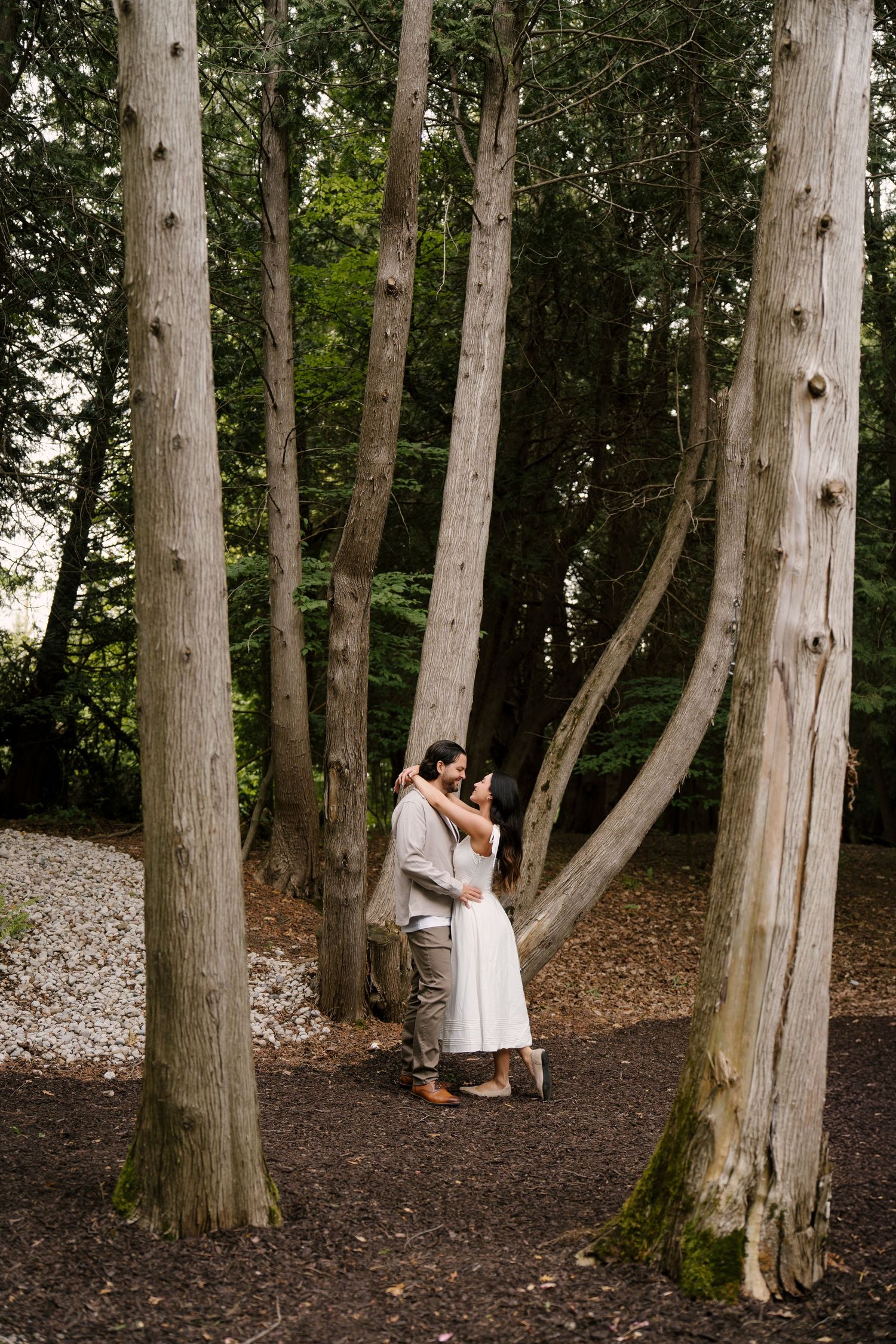 Couple embracing and kissing between tall slender trees in a wooded forest setting.
