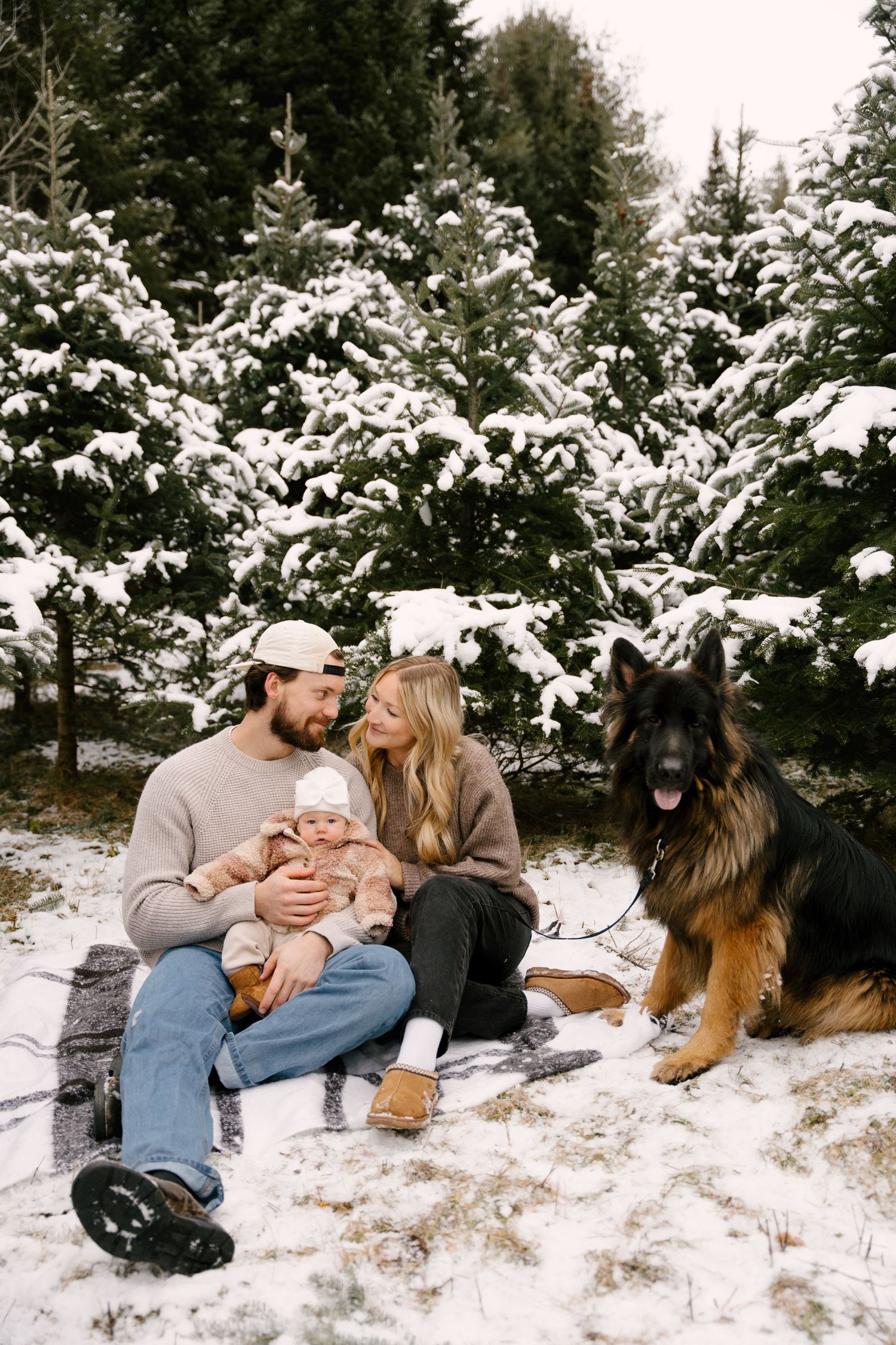 Couple sitting in snow with baby and German Shepherd dog among snow-covered evergreen trees.